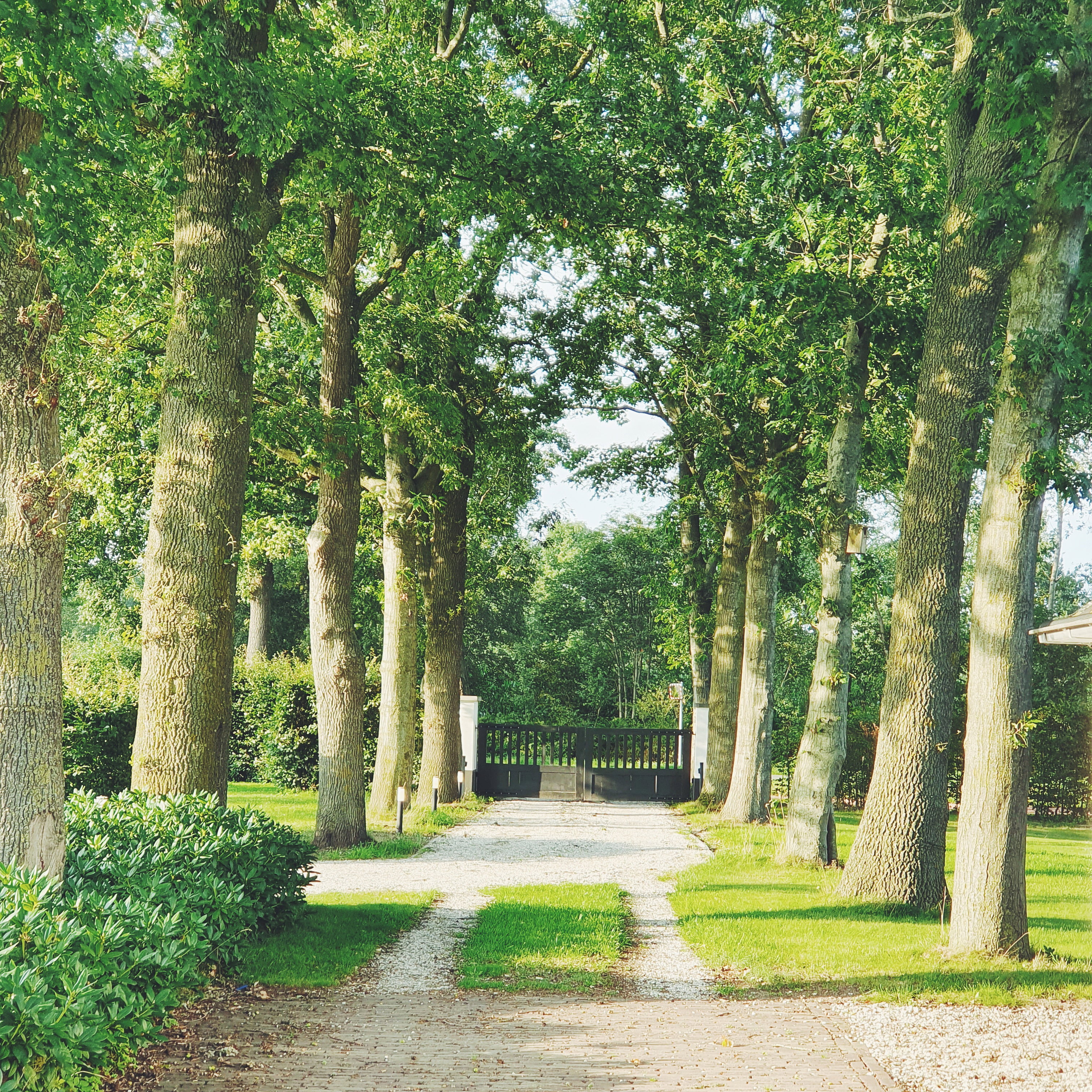 Maison nature à Terschuur