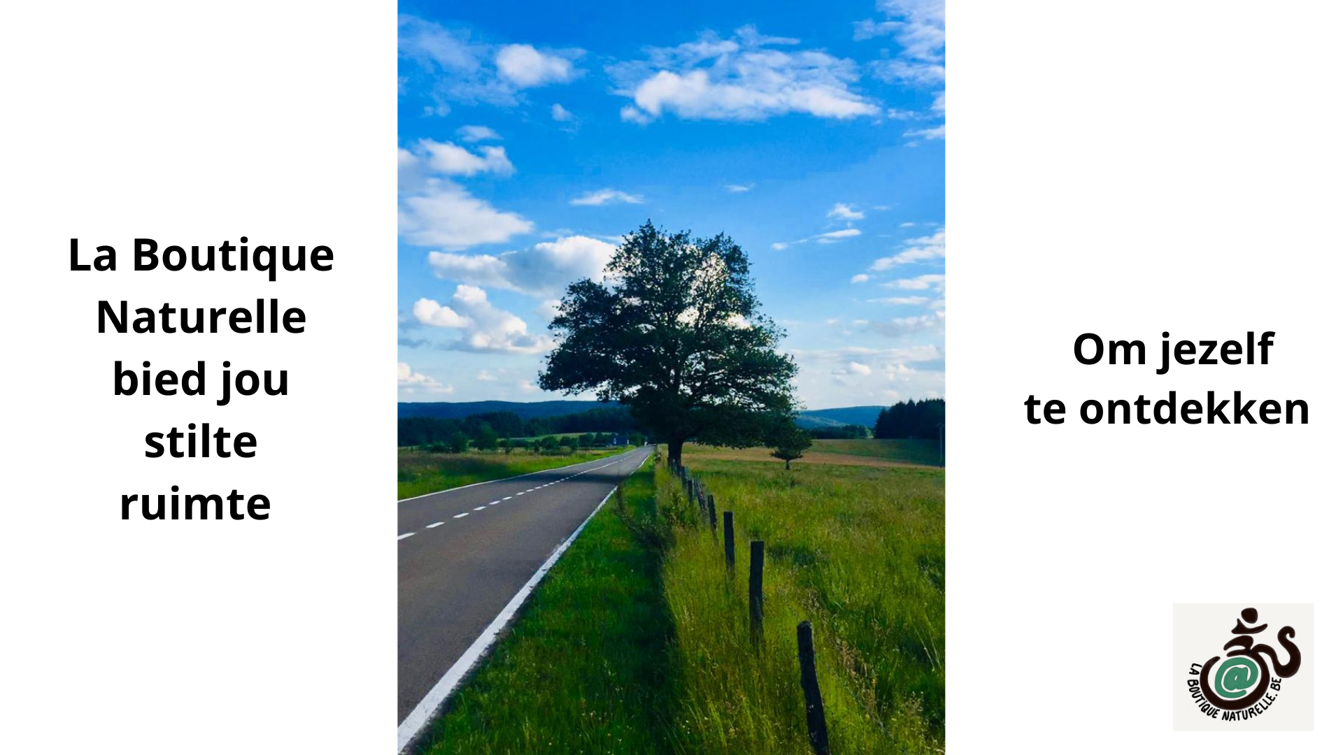 - image: 24