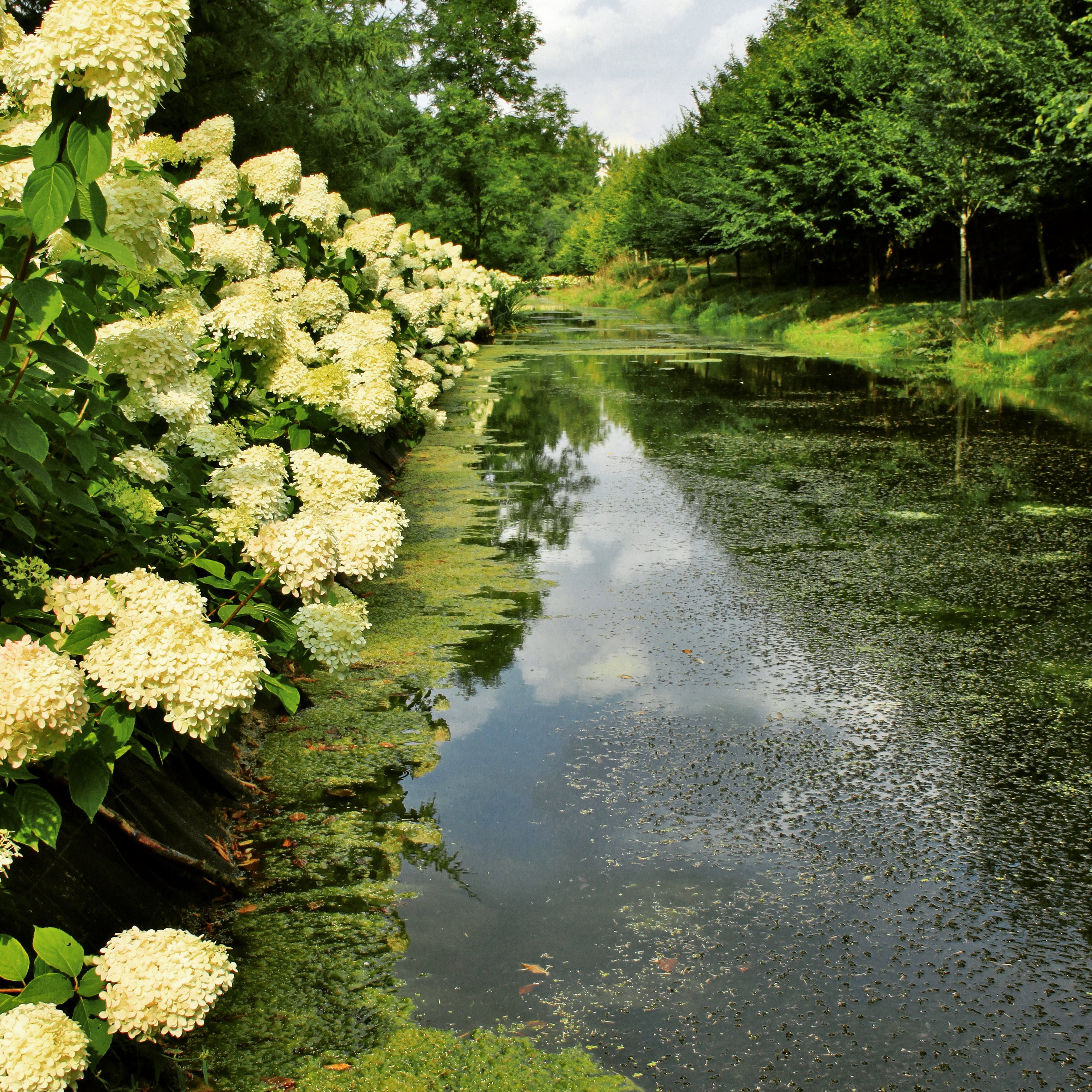 - image: 12