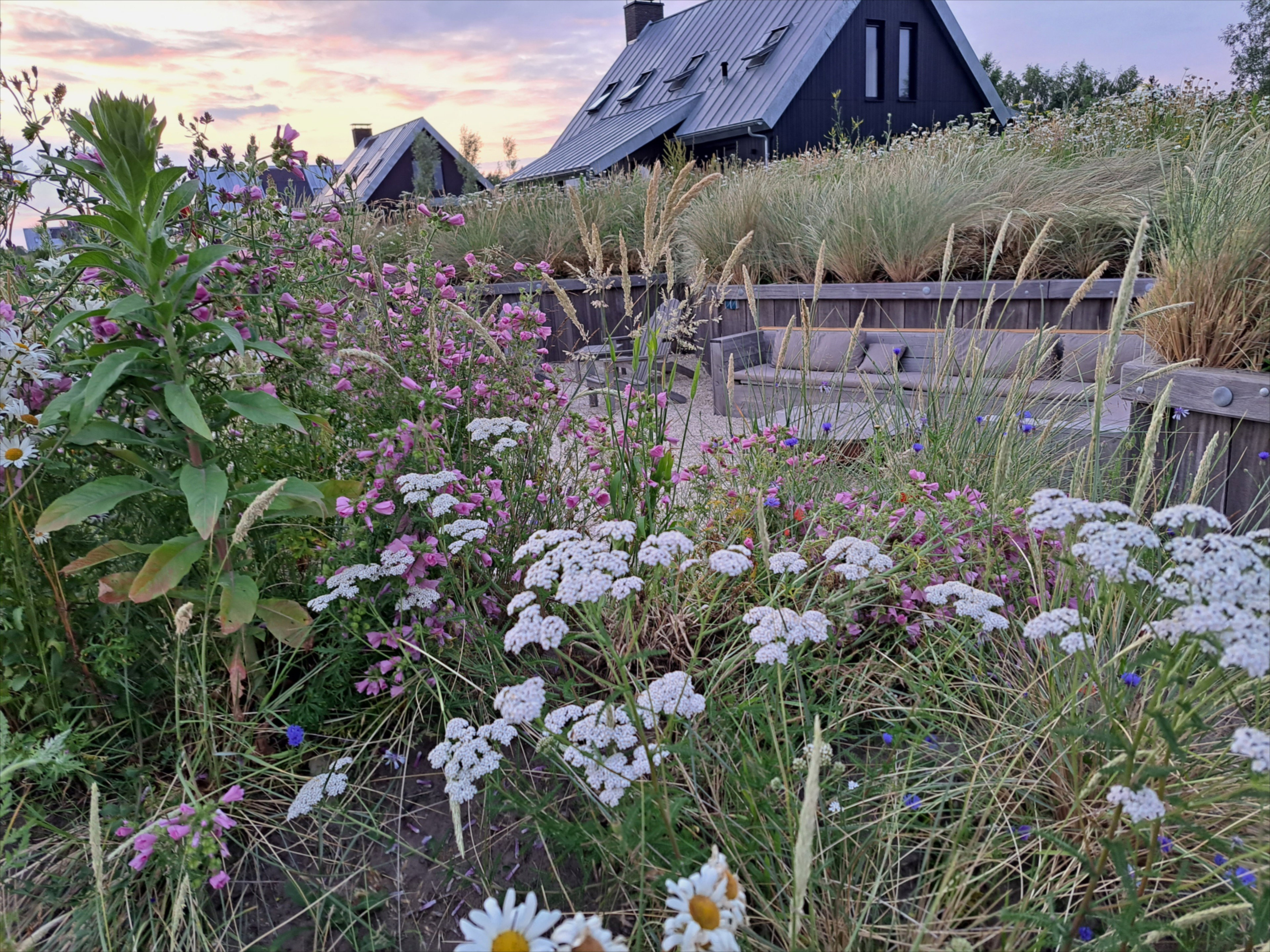 Nature house in Sint Nicolaasga