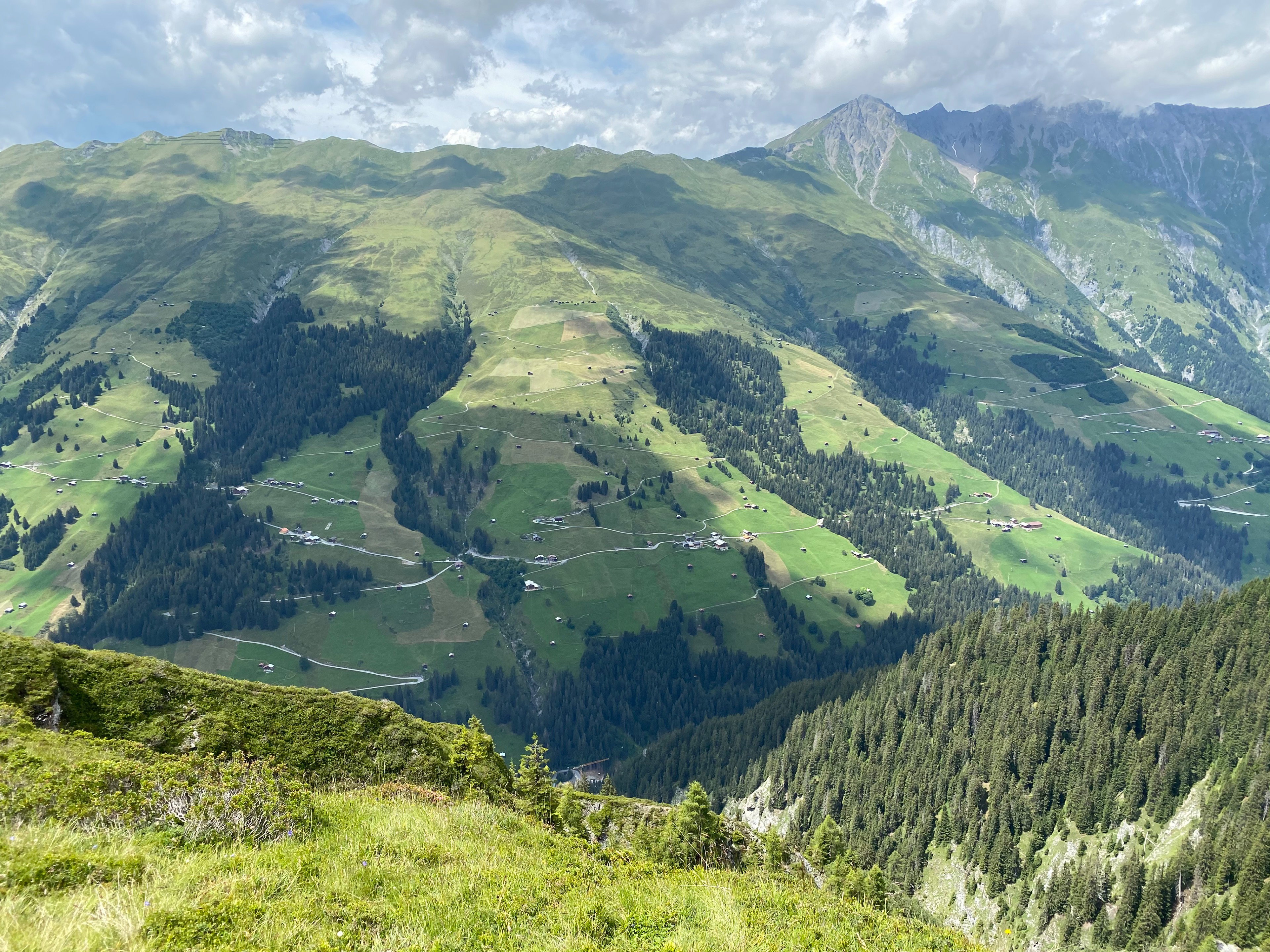 - image: 25