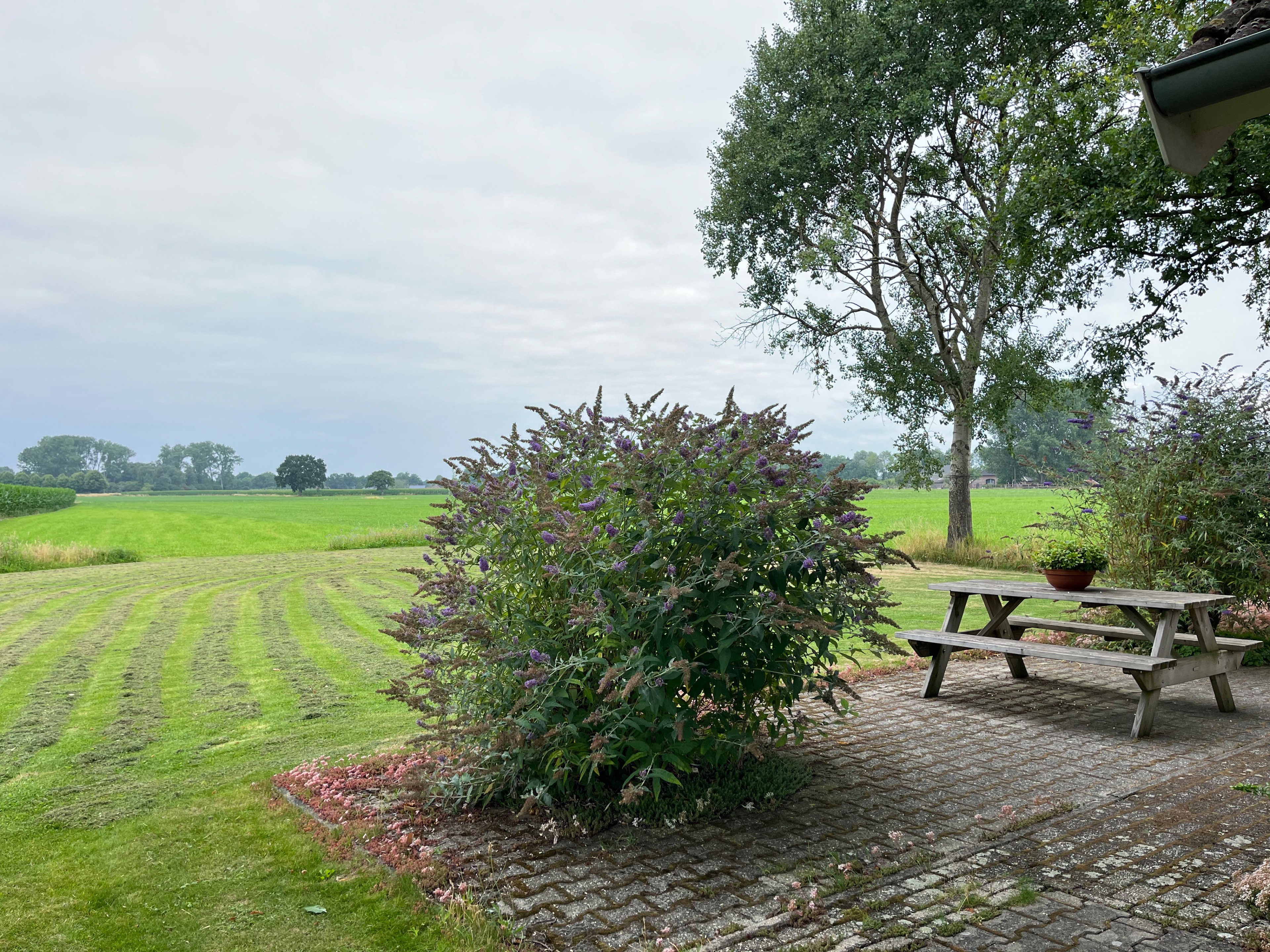 Natuurhuisje in Sinderen