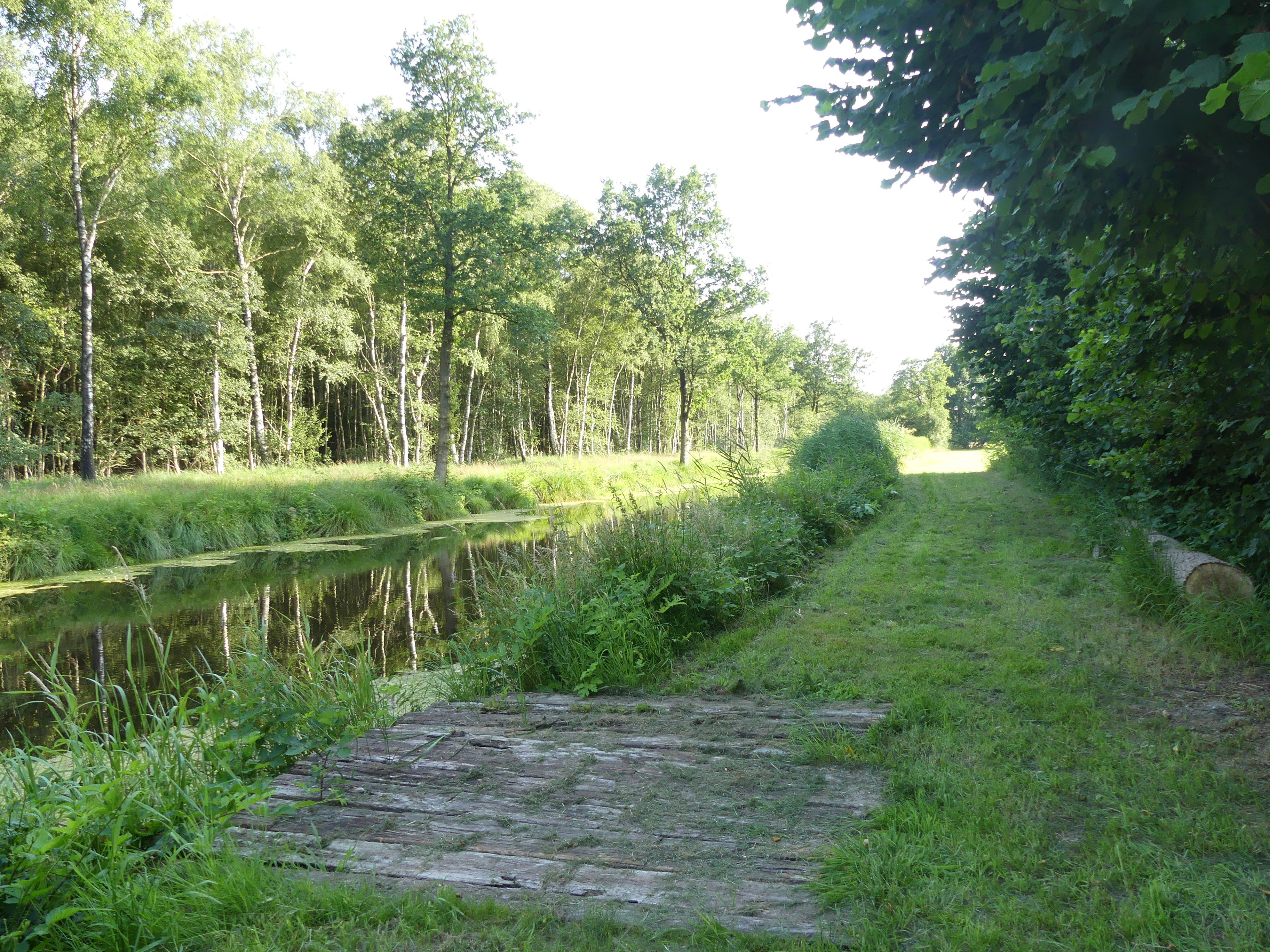 - image: 24