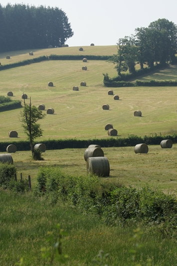 Natuurhuisje in Espinasse