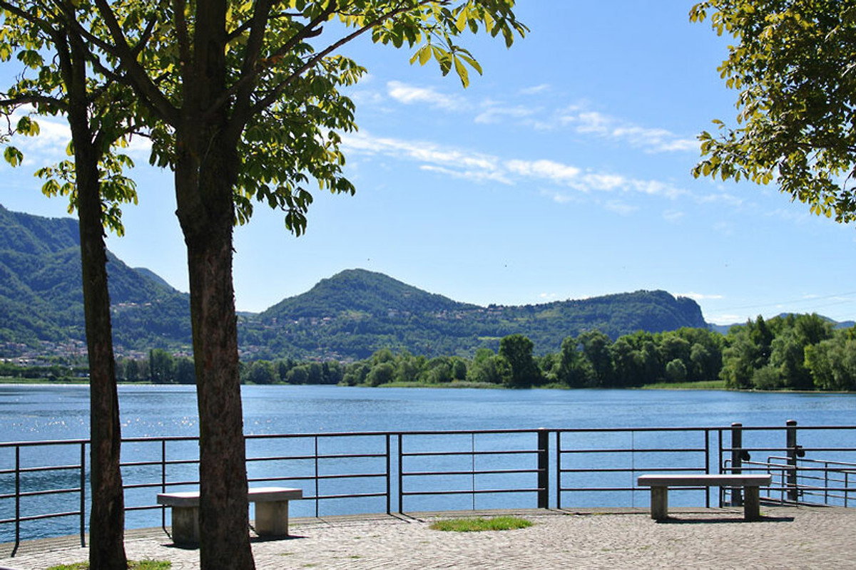 - image: 12