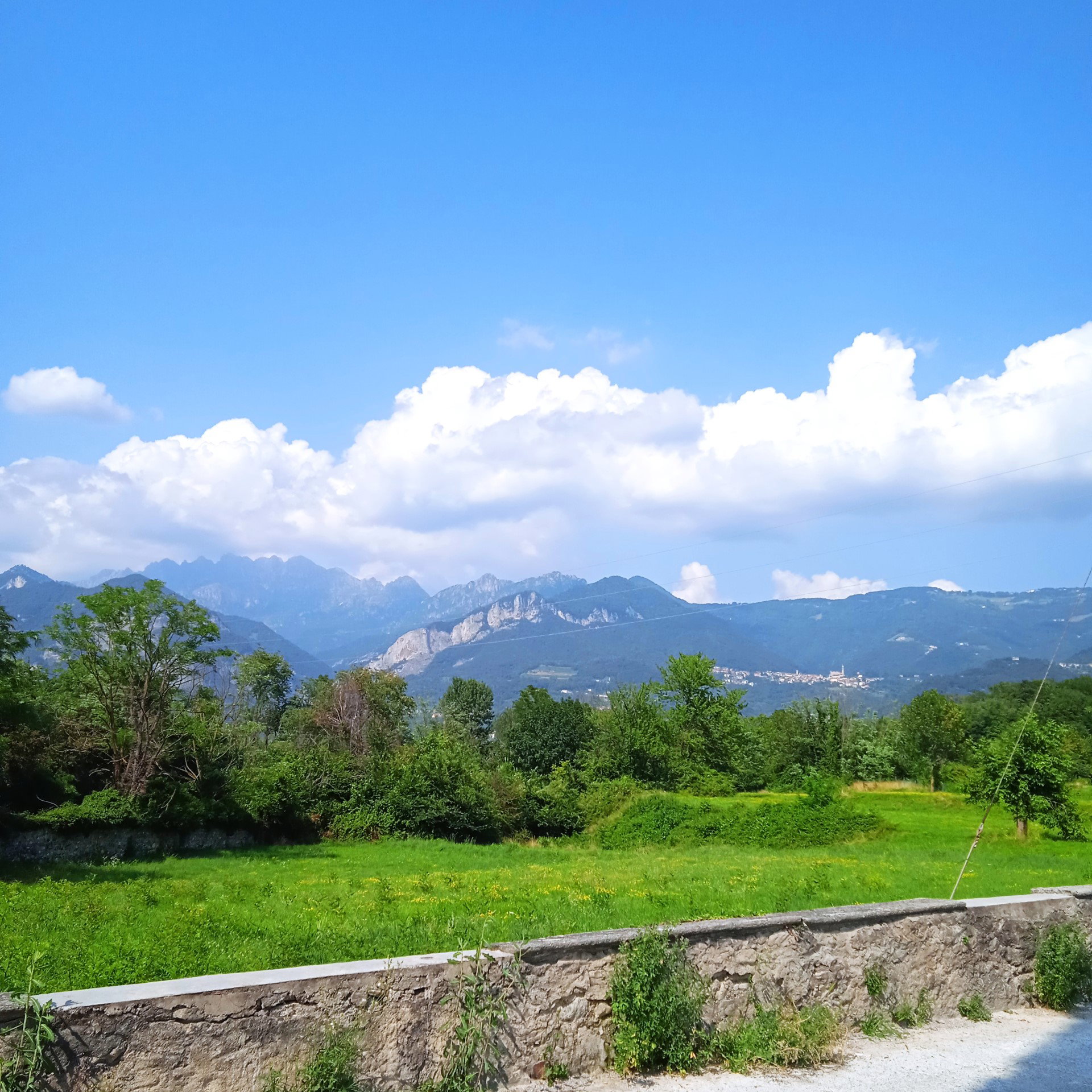- image: 11