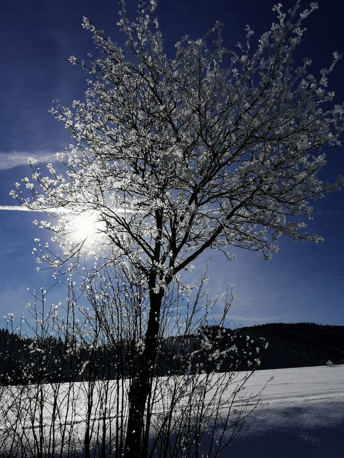 - image: 21