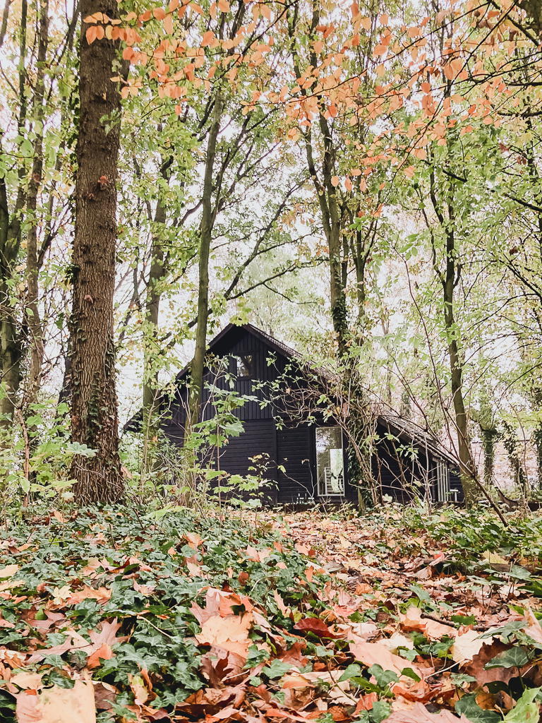 Nature house in Aalter