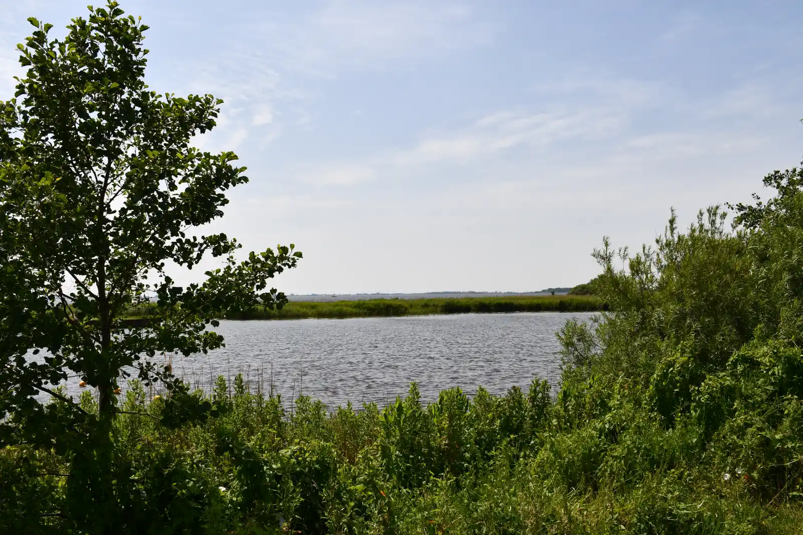 - image: 28