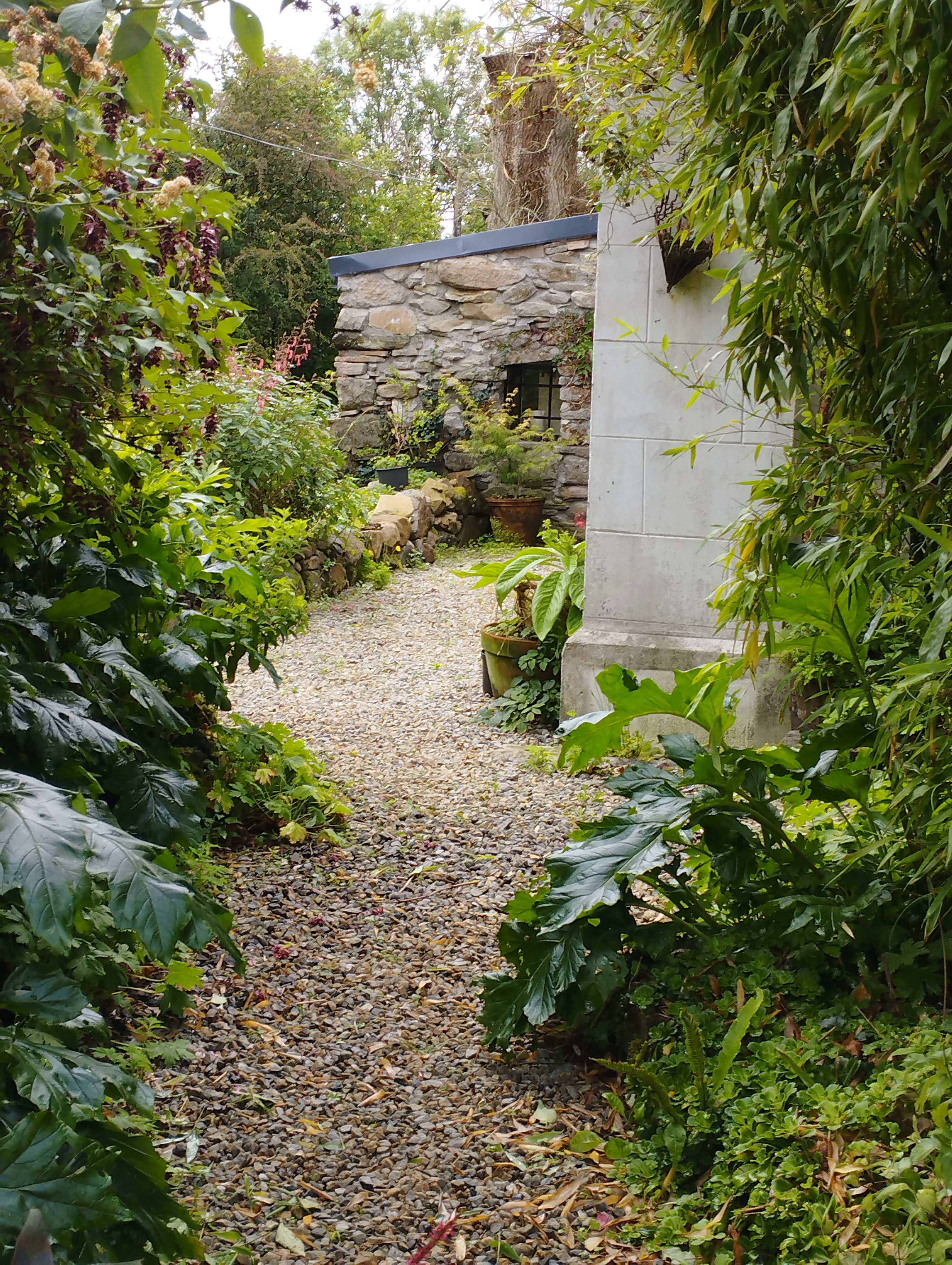 Natuurhuisje in Foxford