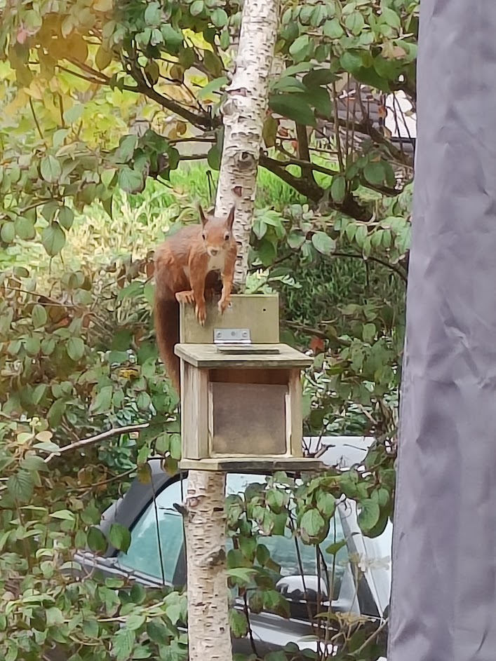 Natuurhuisje in Rekem