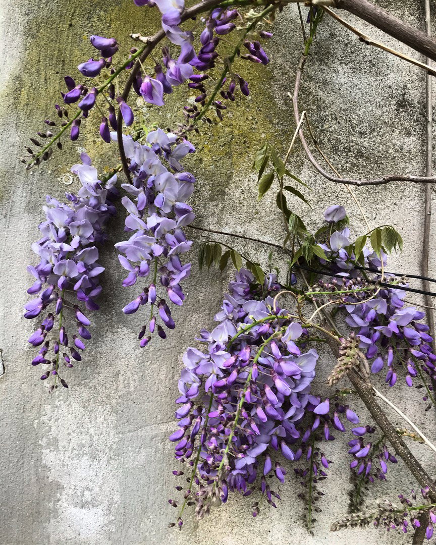 - image: 22