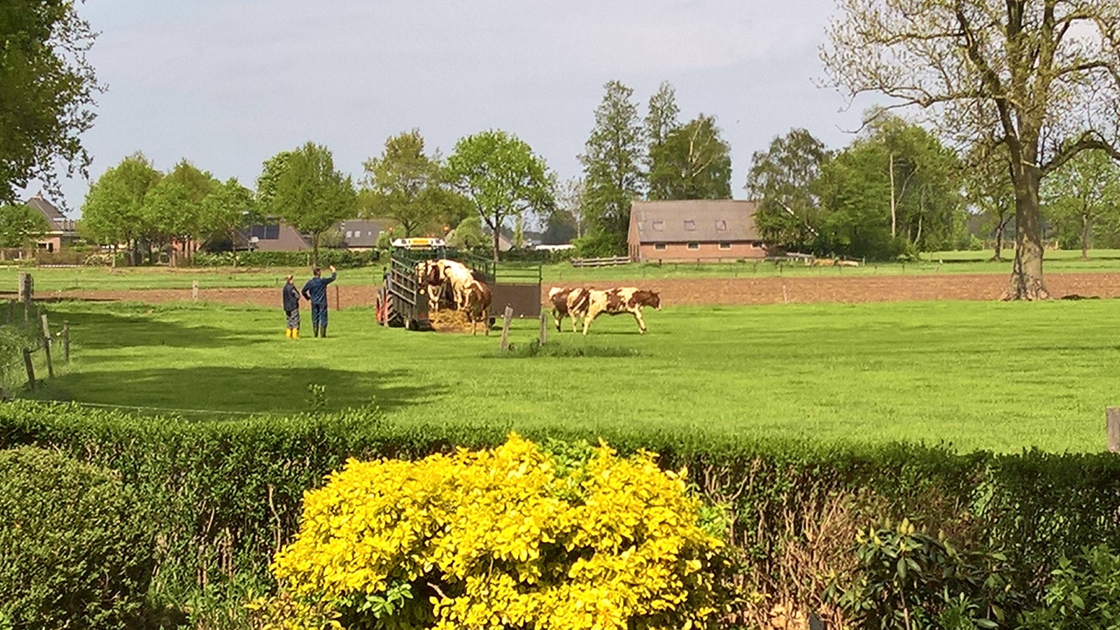 Naturhäuschen in Wijhe