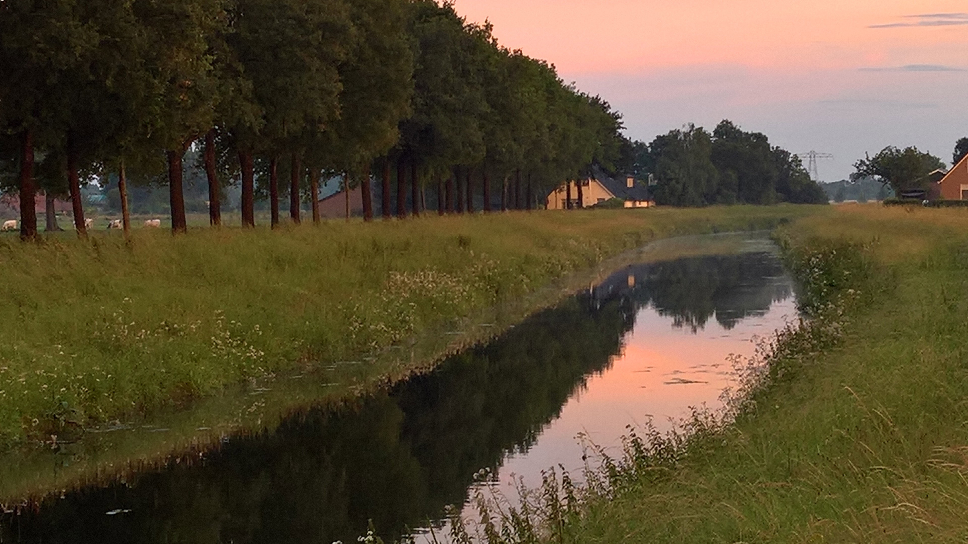 Naturhäuschen in Wijhe