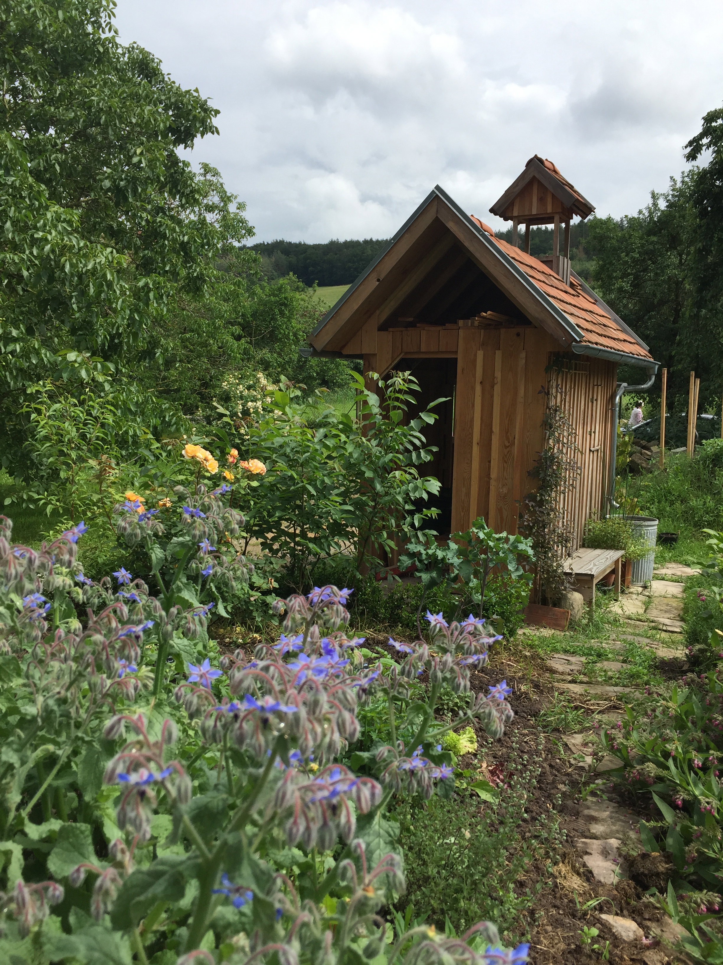 Maison nature à Oberscheinfeld