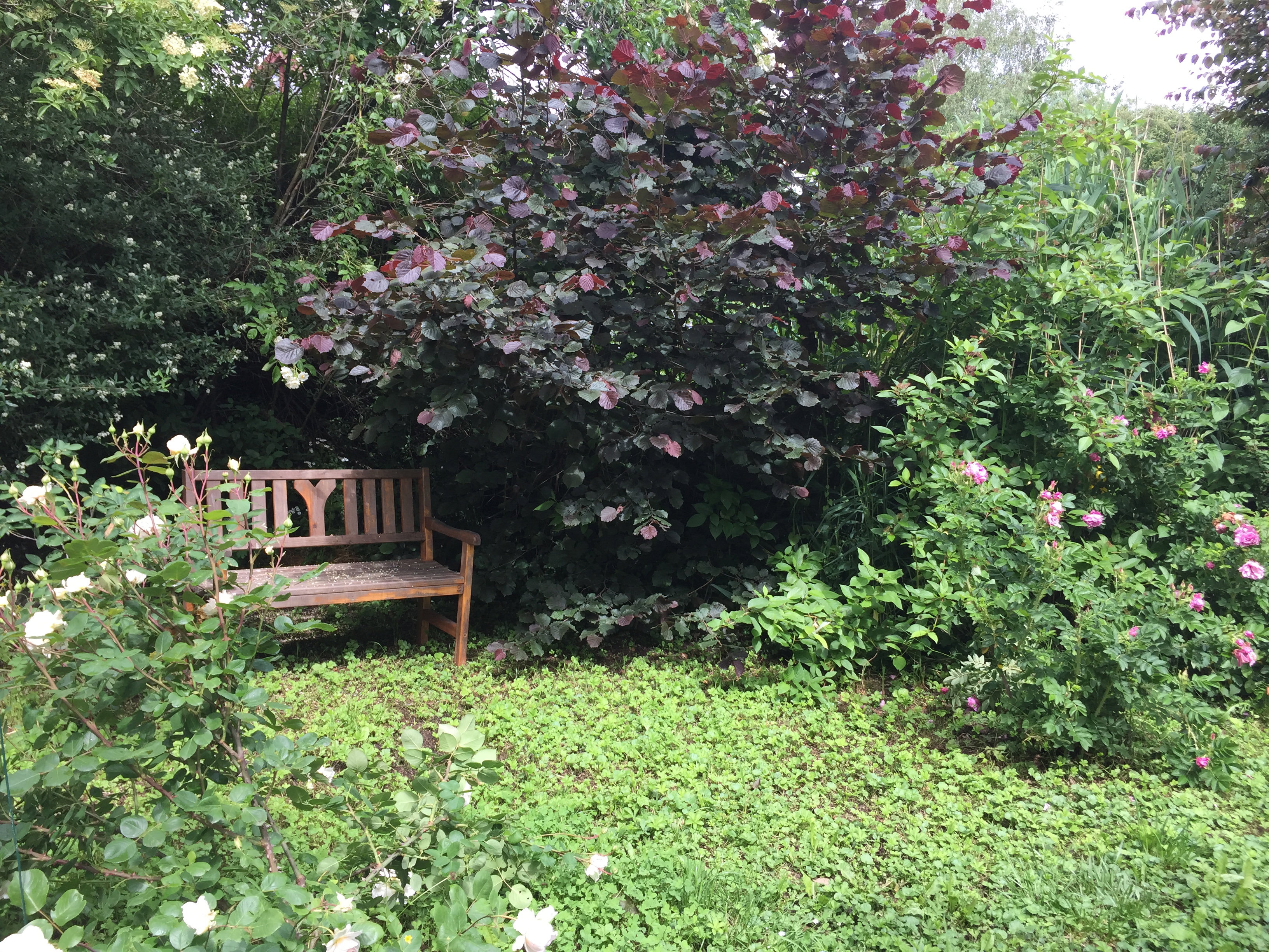 Maison nature à Oberscheinfeld