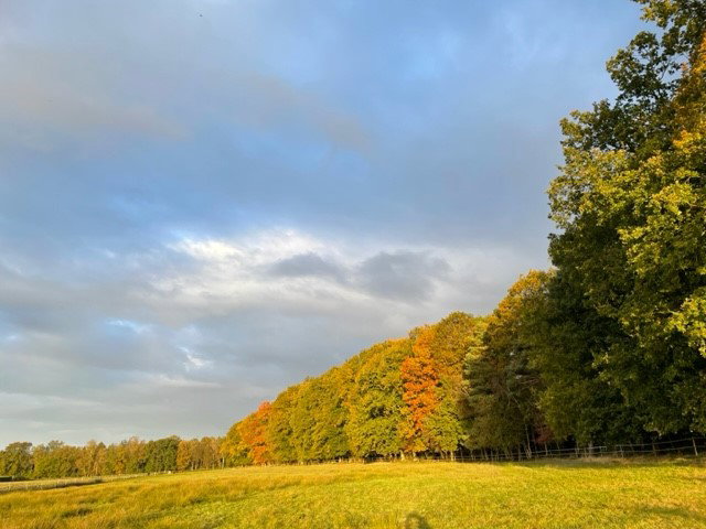 - image: 59