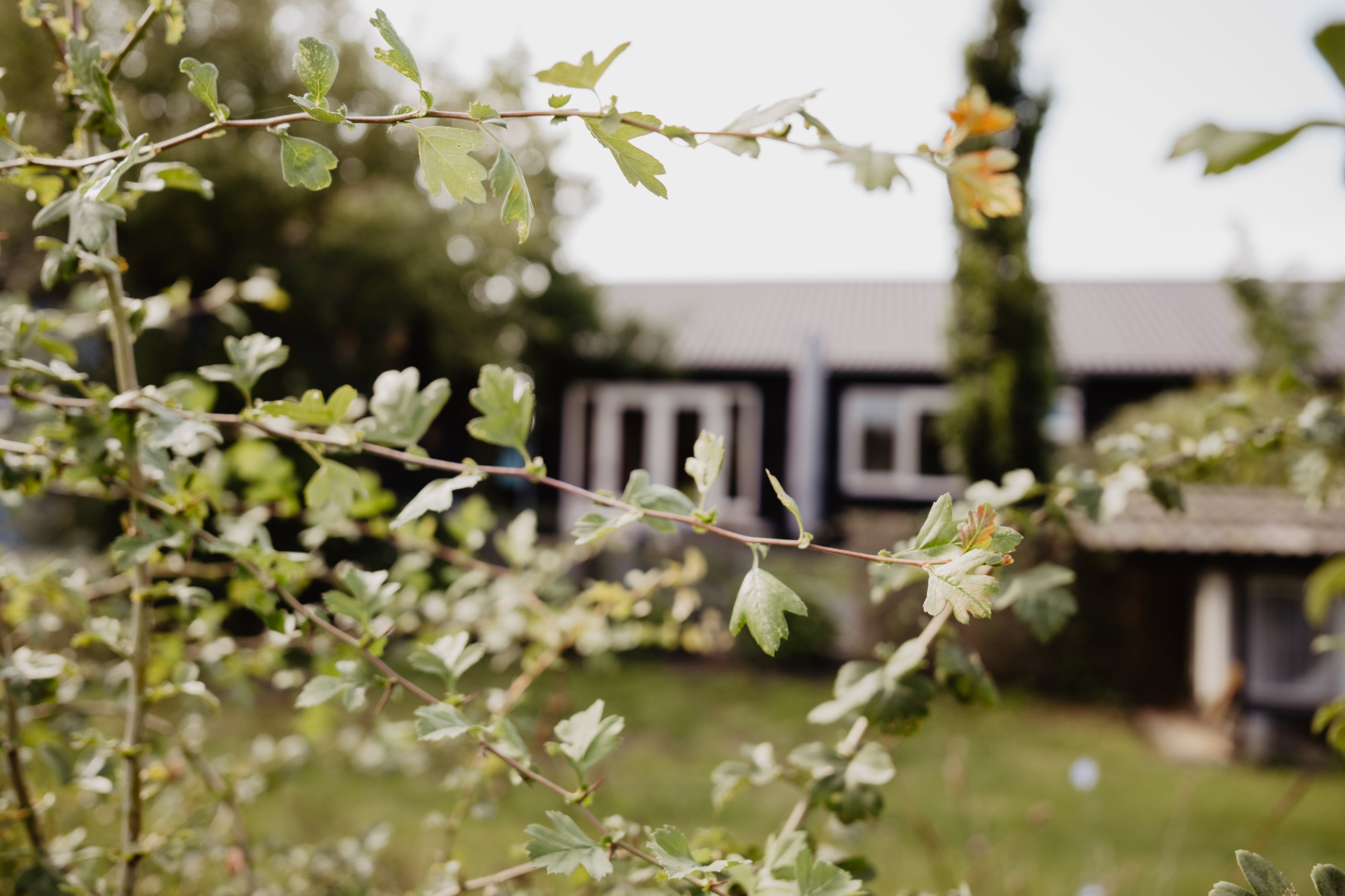 Nature house in Emst op de Veluwe