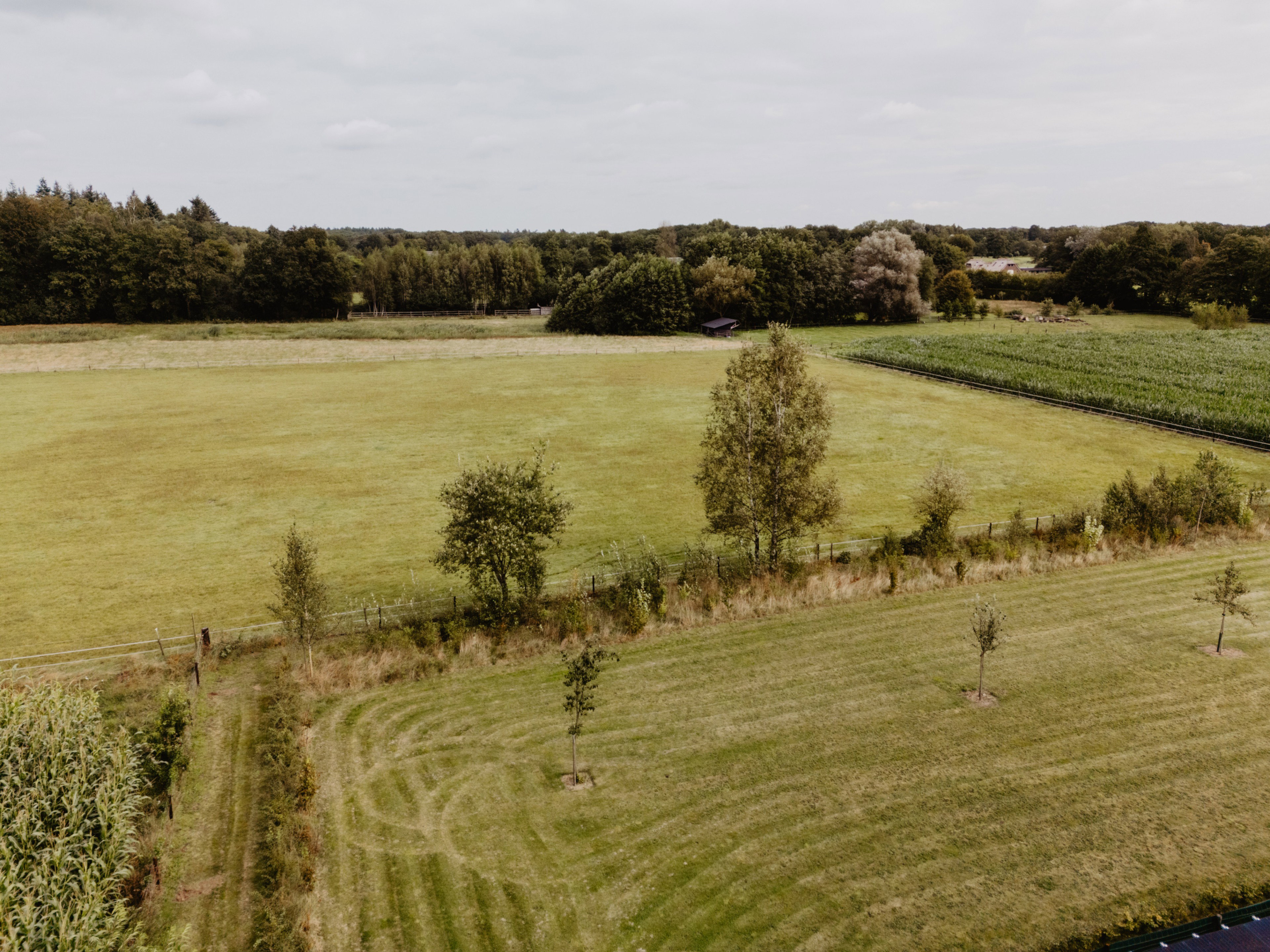 Nature house in Emst op de Veluwe