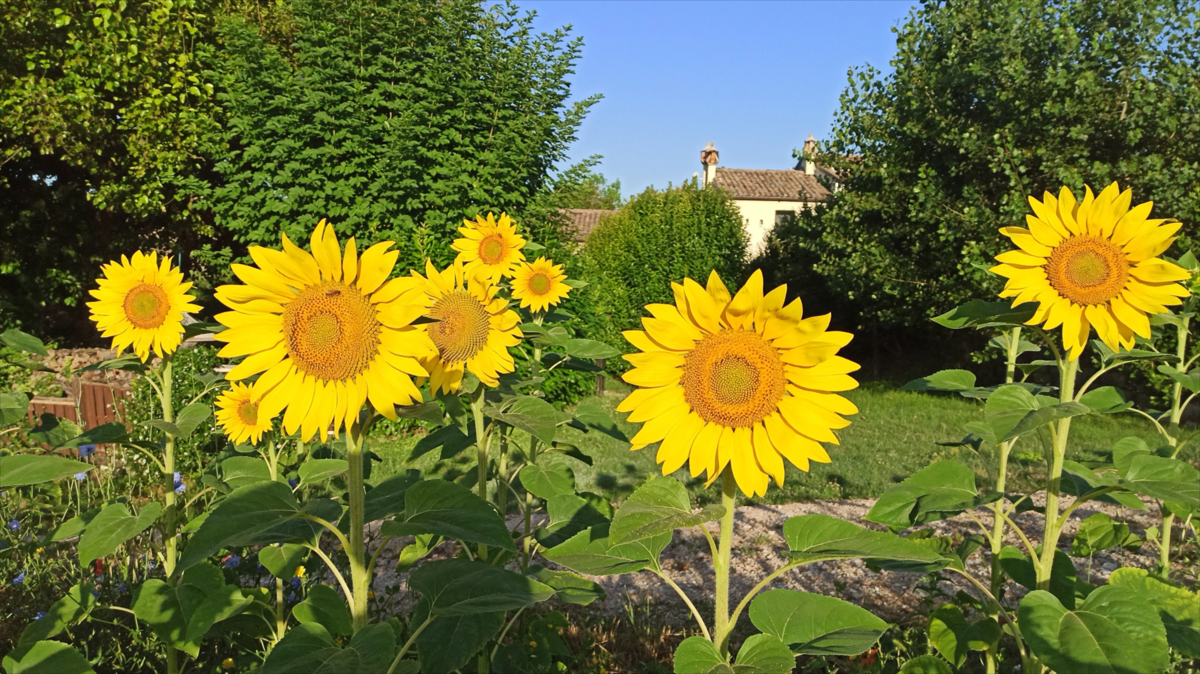 Natuurhuisje in Arcevia
