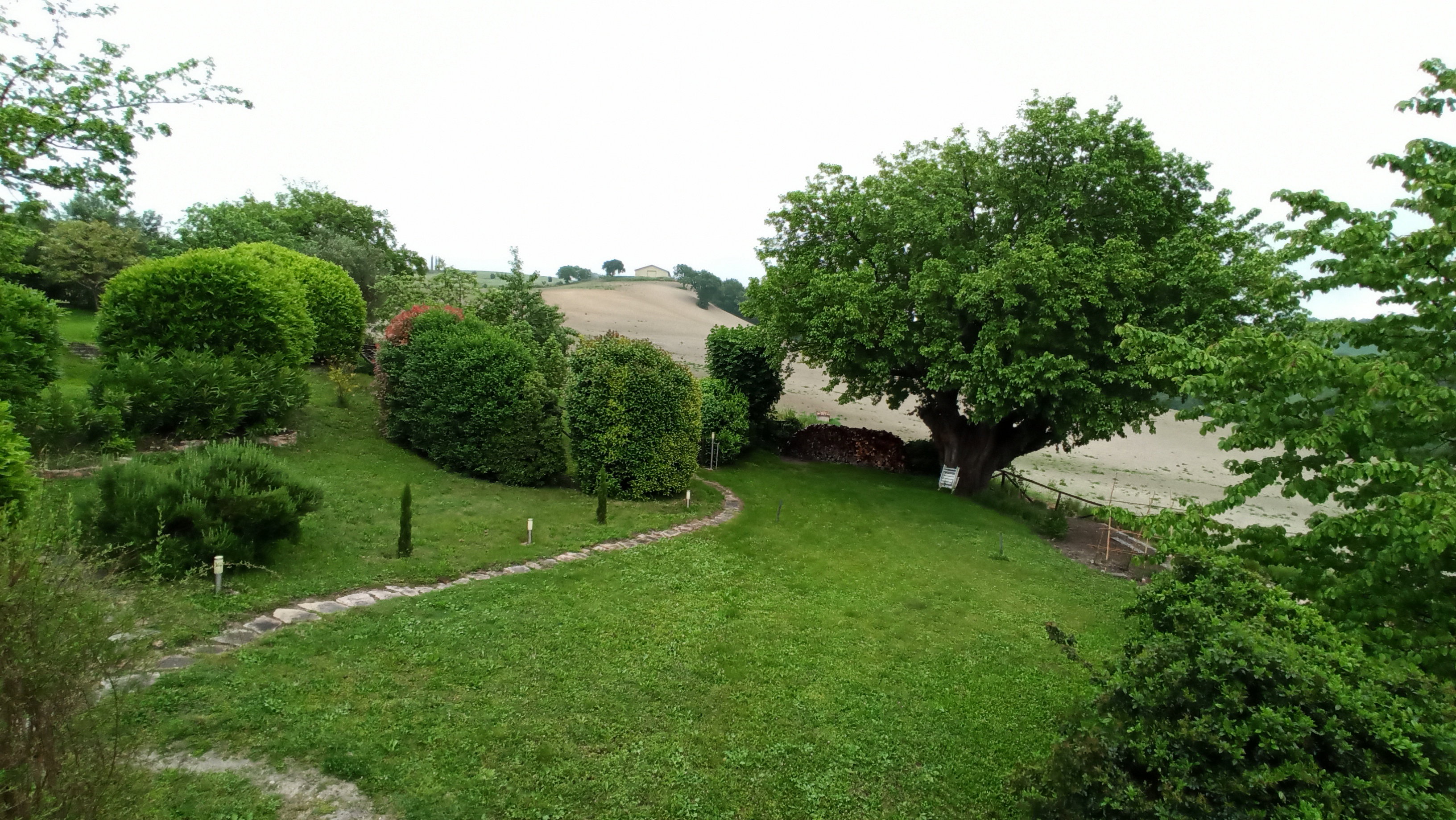 - image: 11