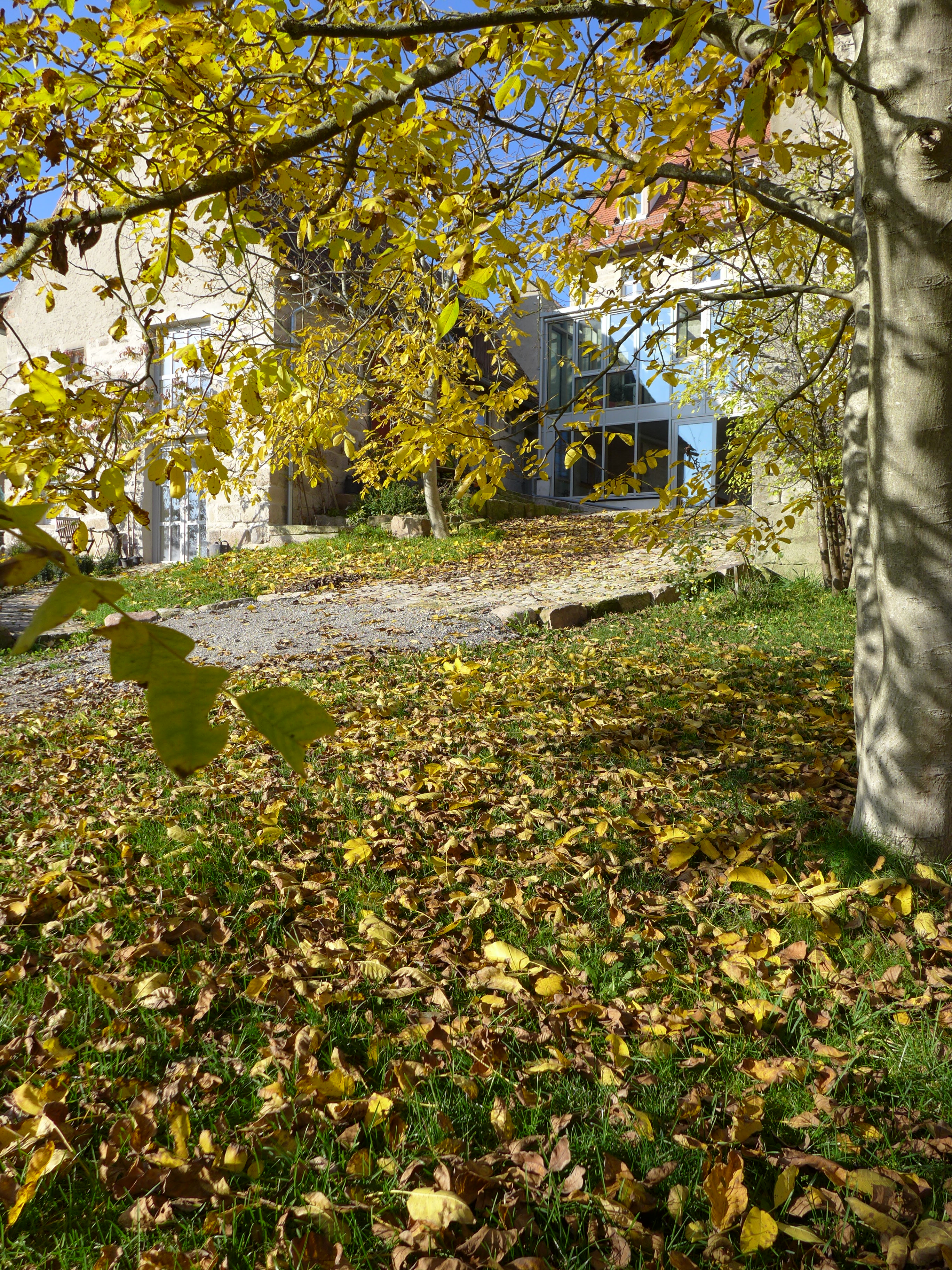 Maison nature à Oberscheinfeld