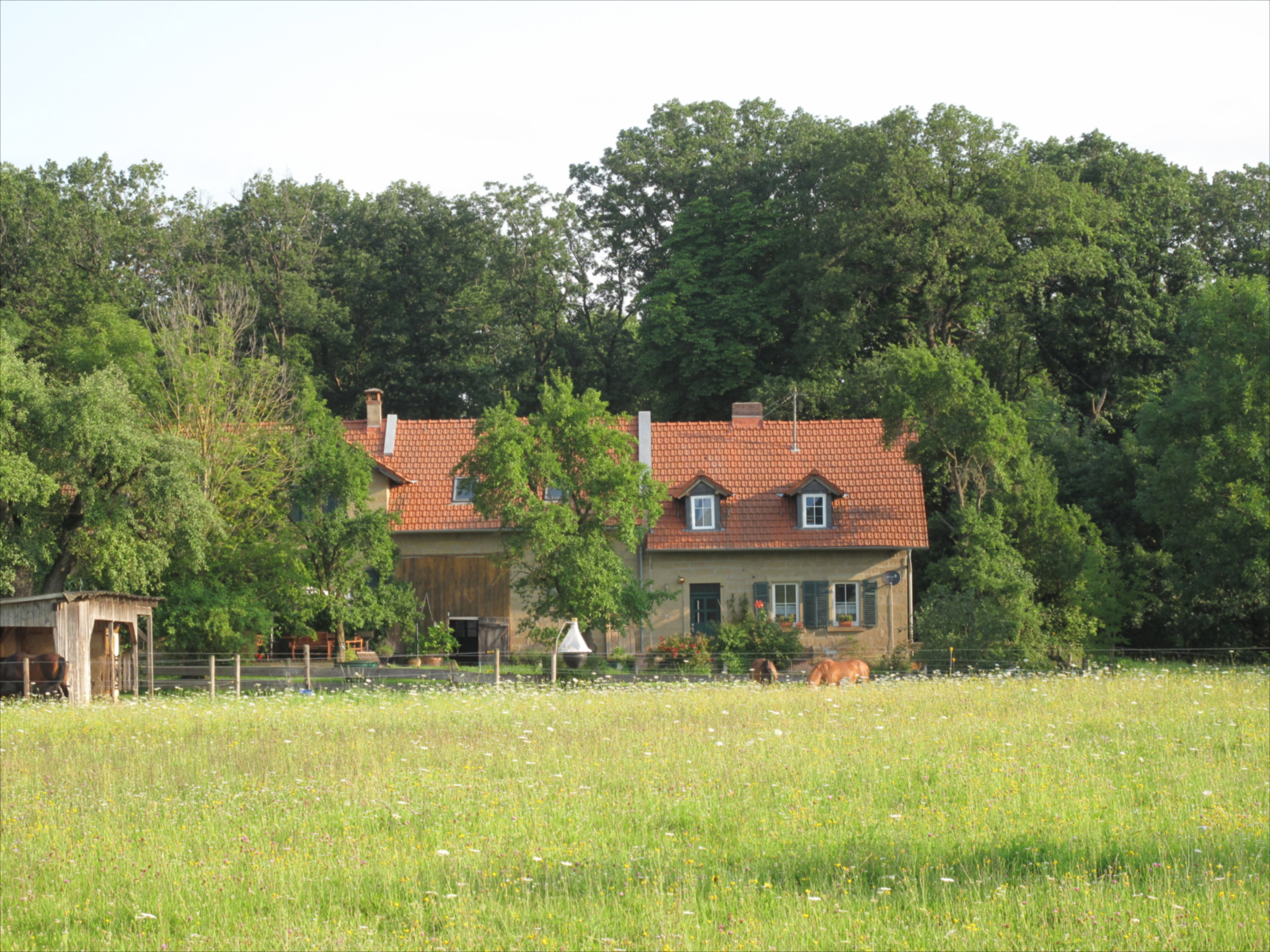 Casa nella natura a Castell