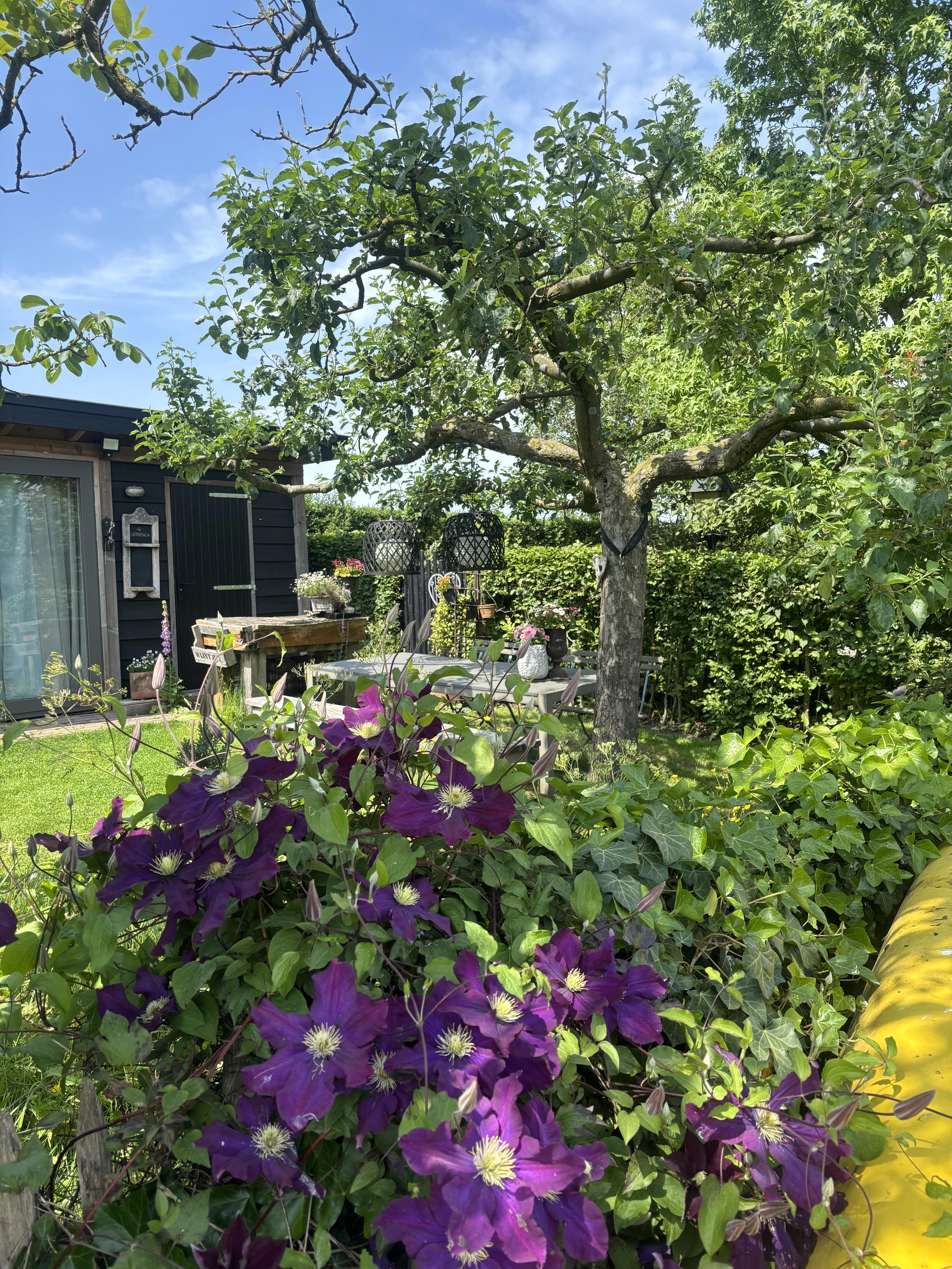 Natuurhuisje in Zoelen