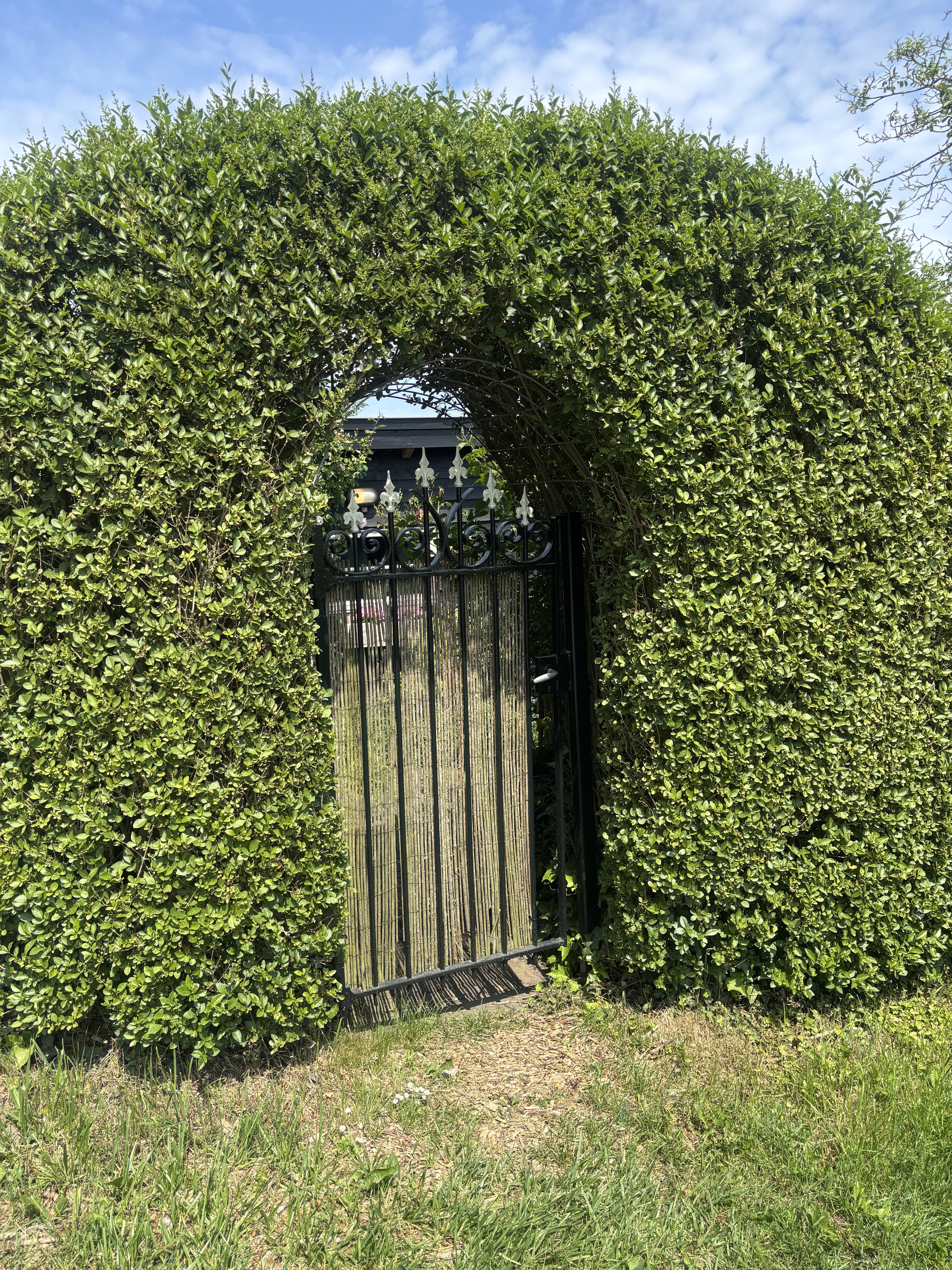 Maison nature à Zoelen