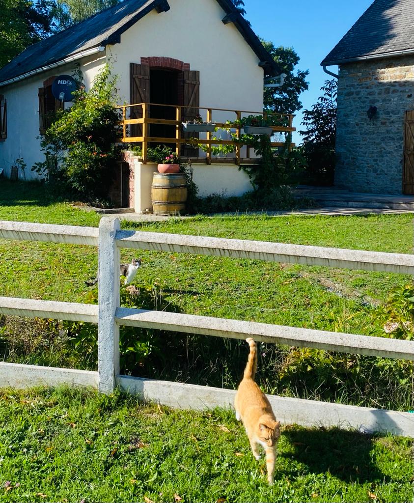 Nature house in Marcheseuil-Cherchilly