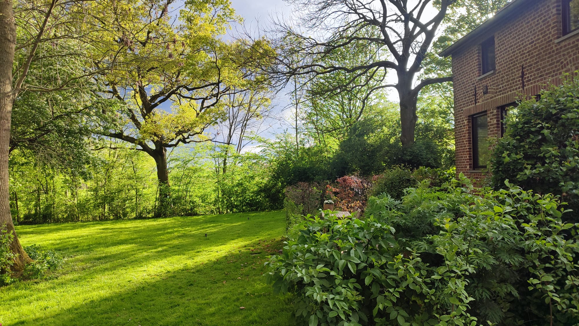 - image: 24