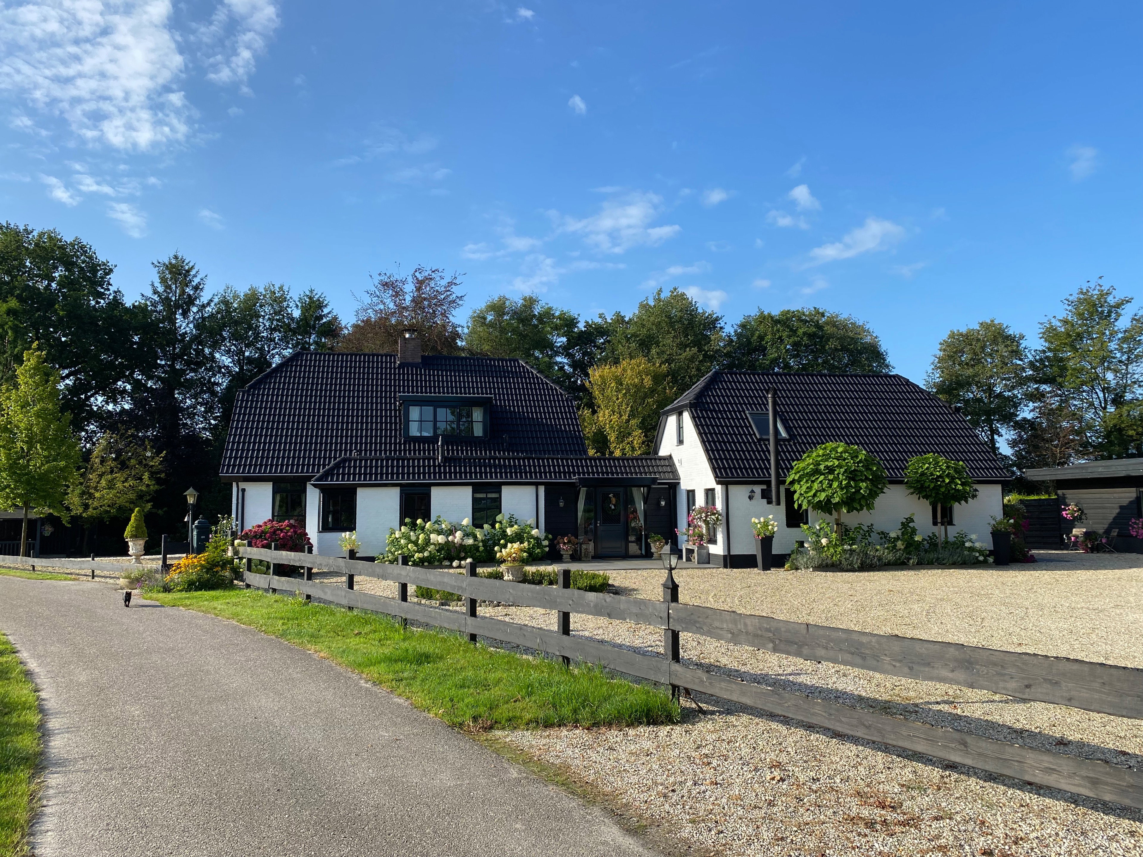 Casa nella natura a Dalen (dorp)