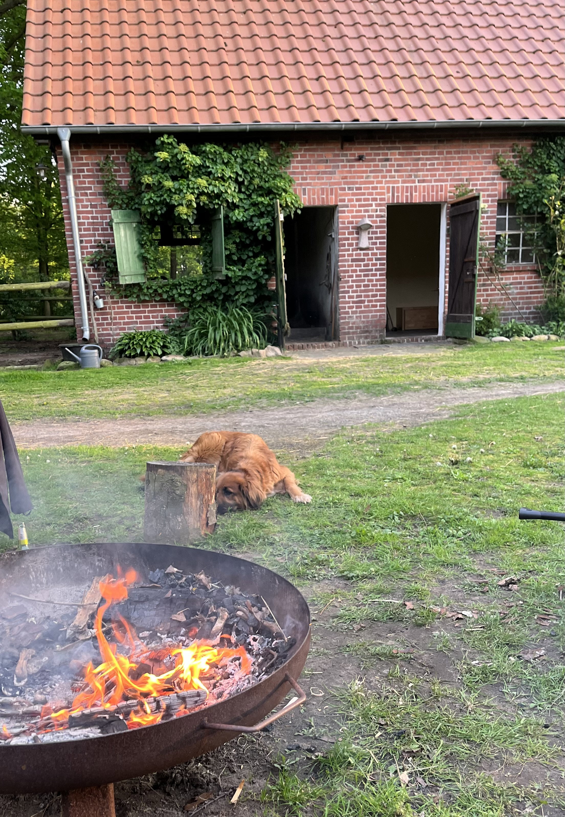 Casa nella natura a Saerbeck
