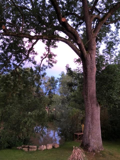 Maison nature à Pulligny