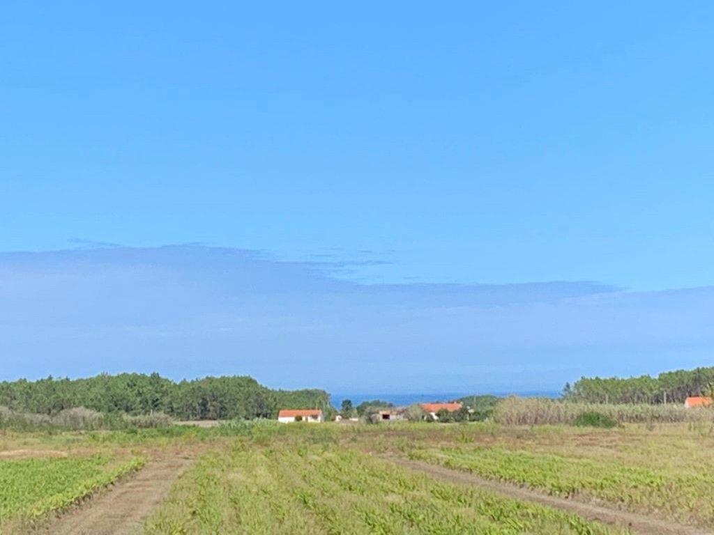 - image: 25