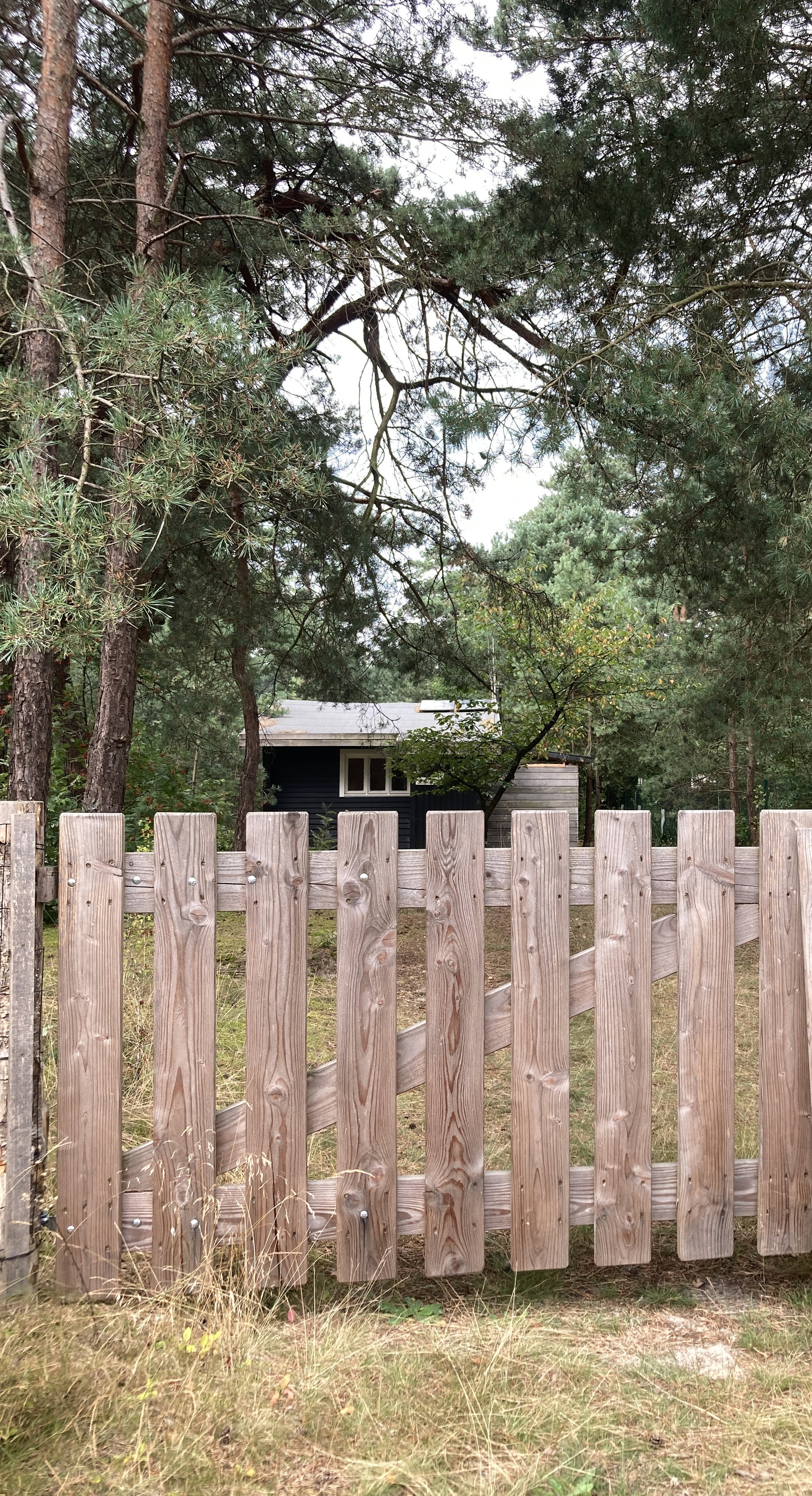 Natuurhuisje in Balen
