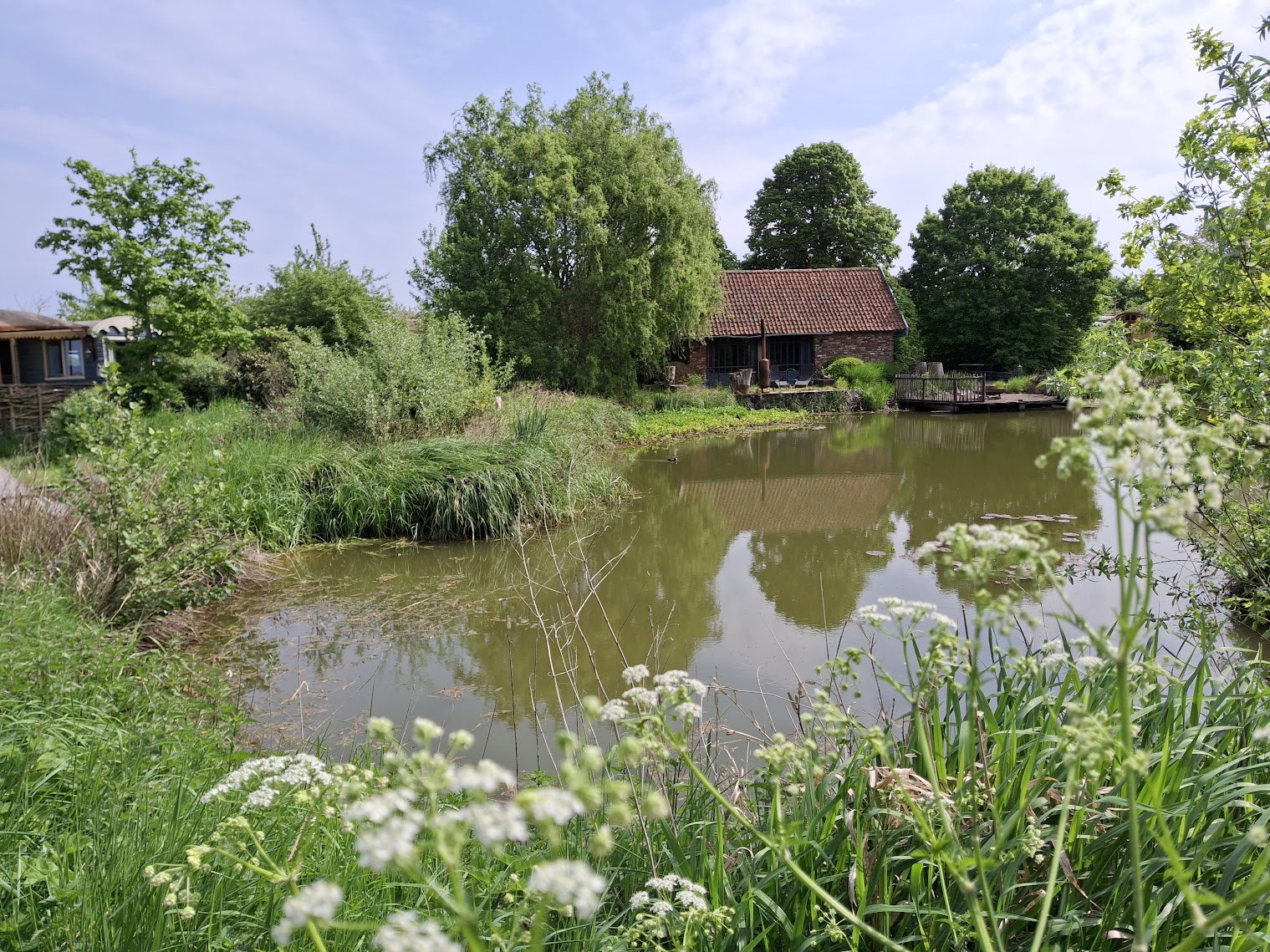 Natuurhuisje in zarren