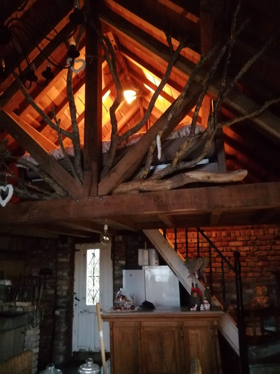 Casa nella natura a zarren