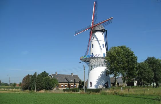 - image: 23