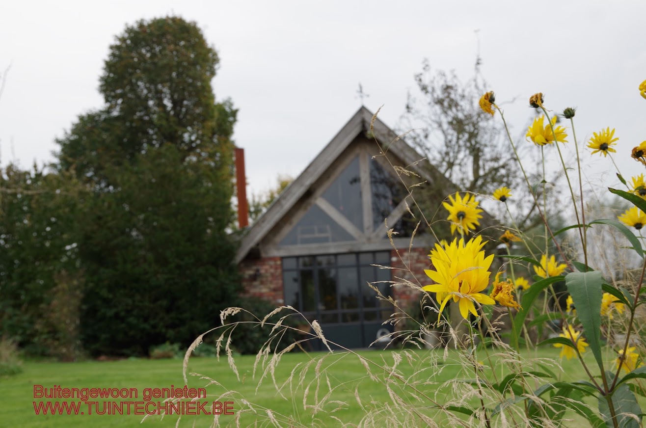 Casa nella natura a zarren