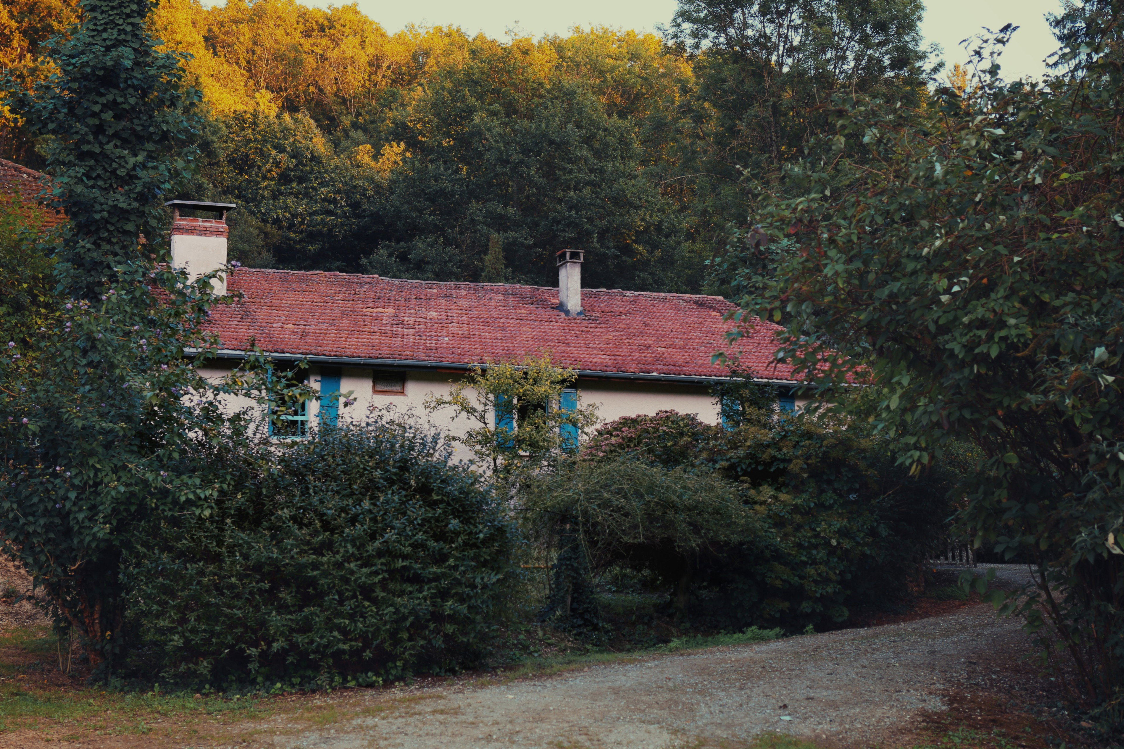 - image: 20