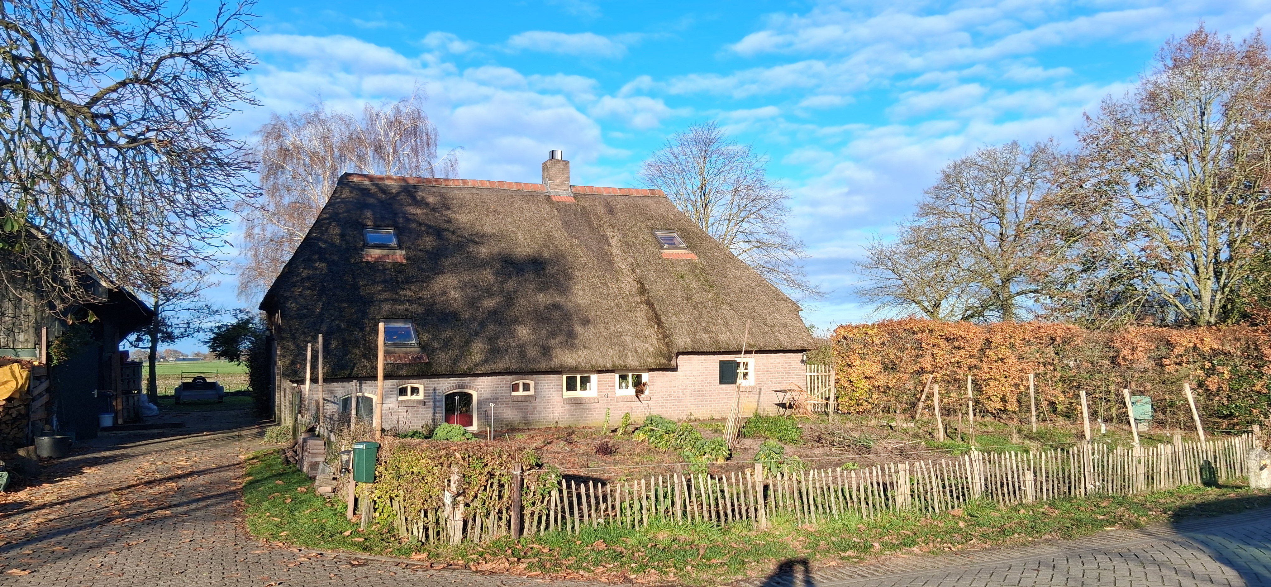 - image: 21