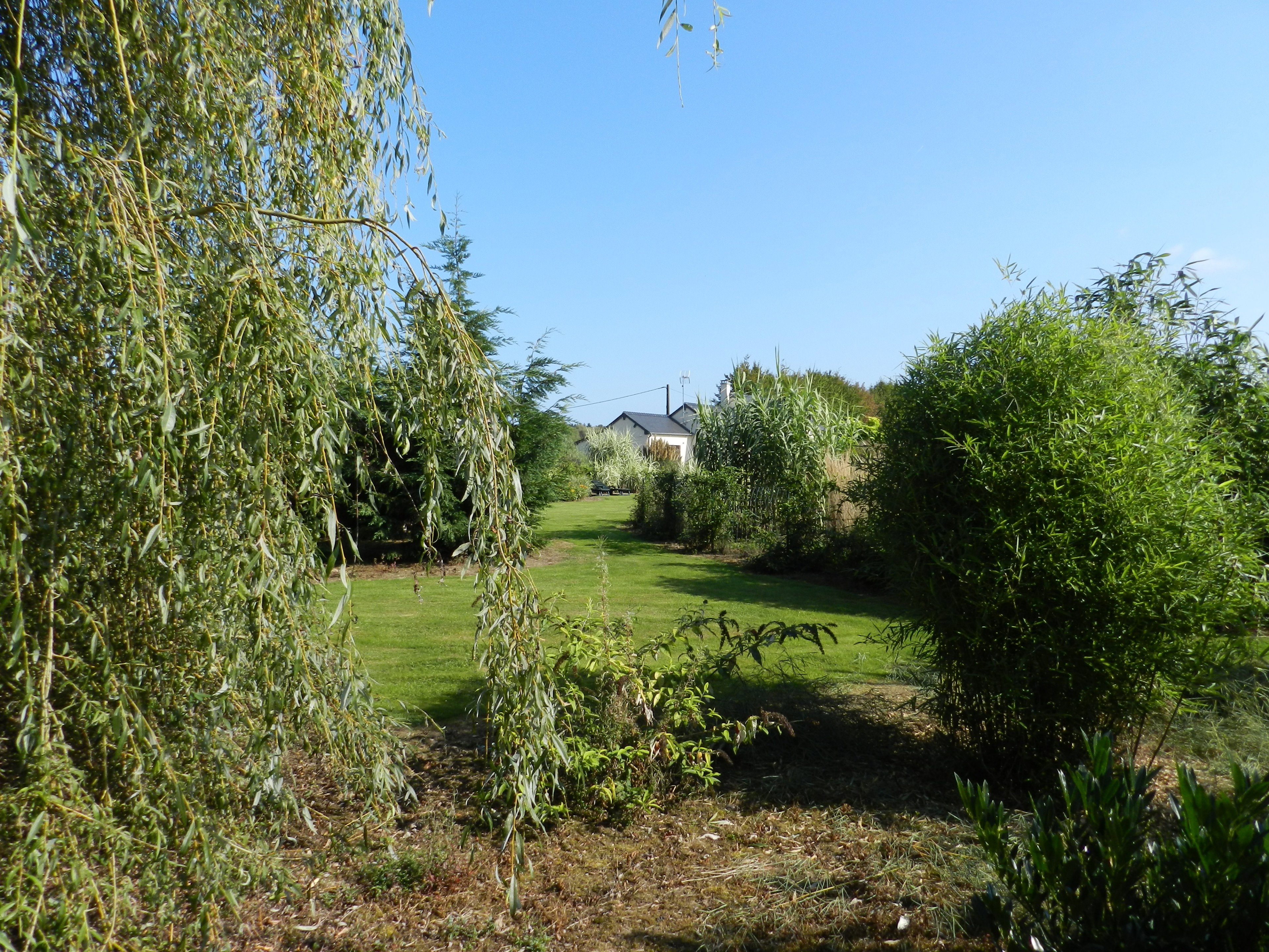 - image: 23