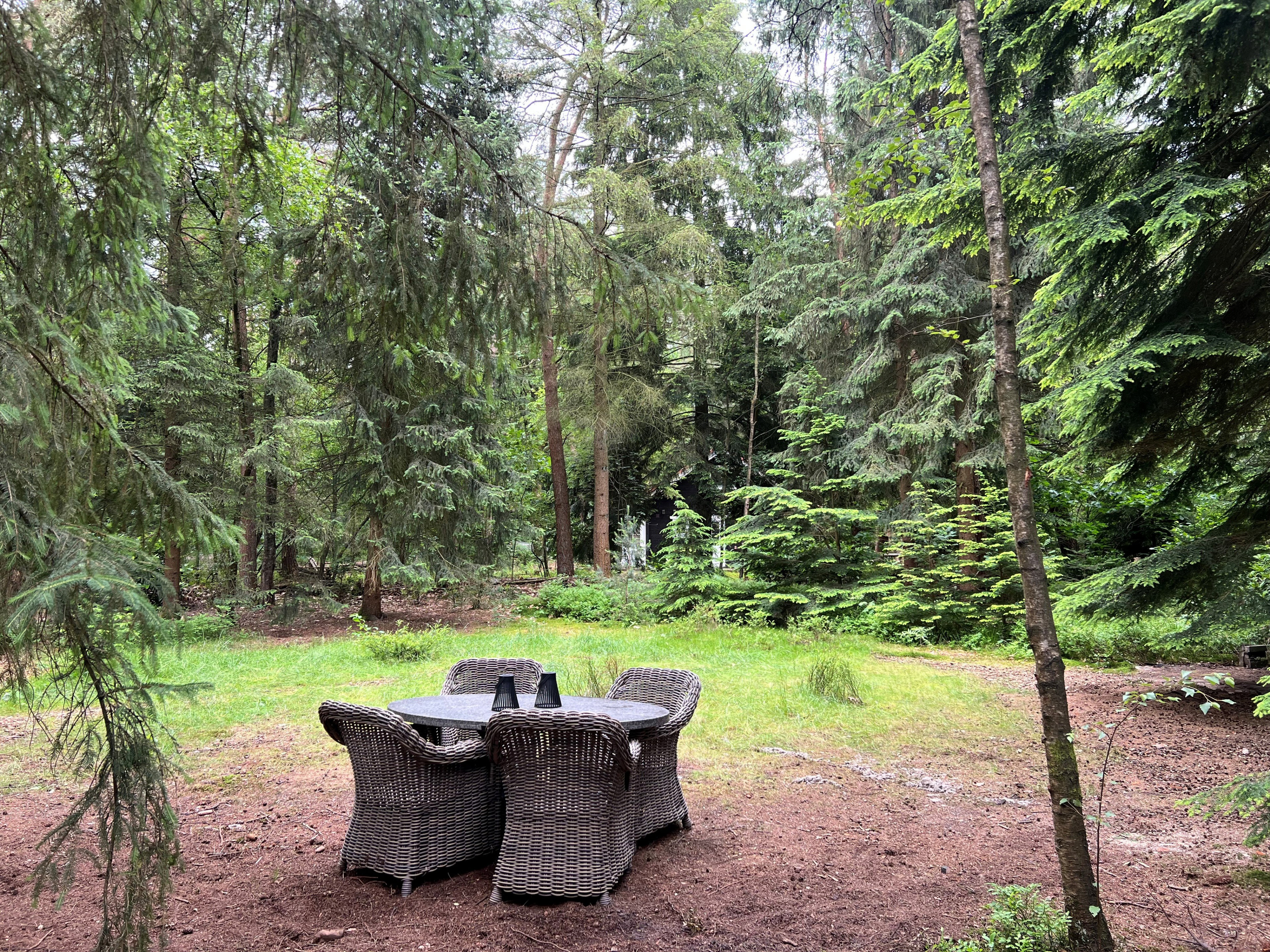 Natuurhuisje in Emst