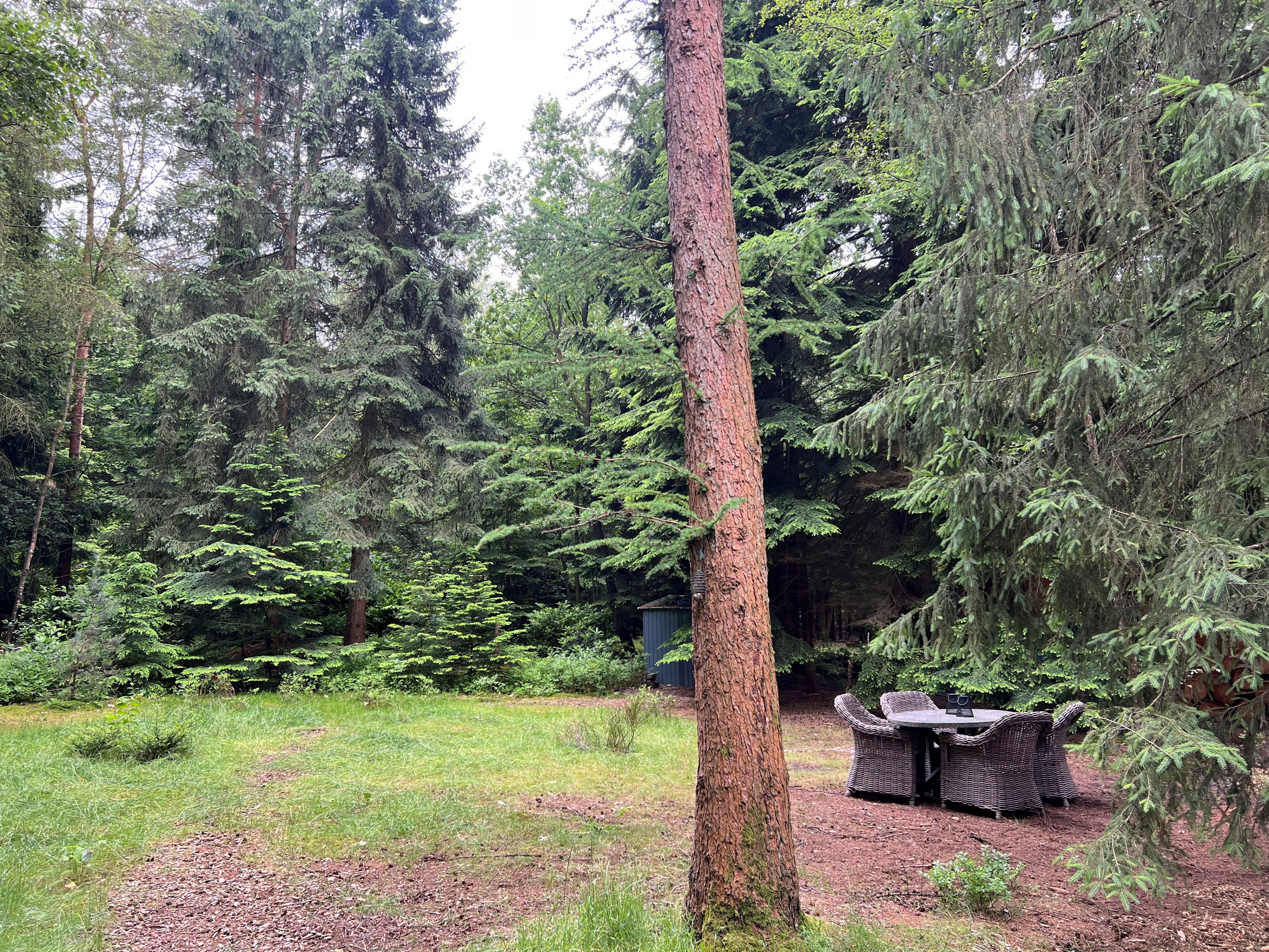 Natuurhuisje in Emst