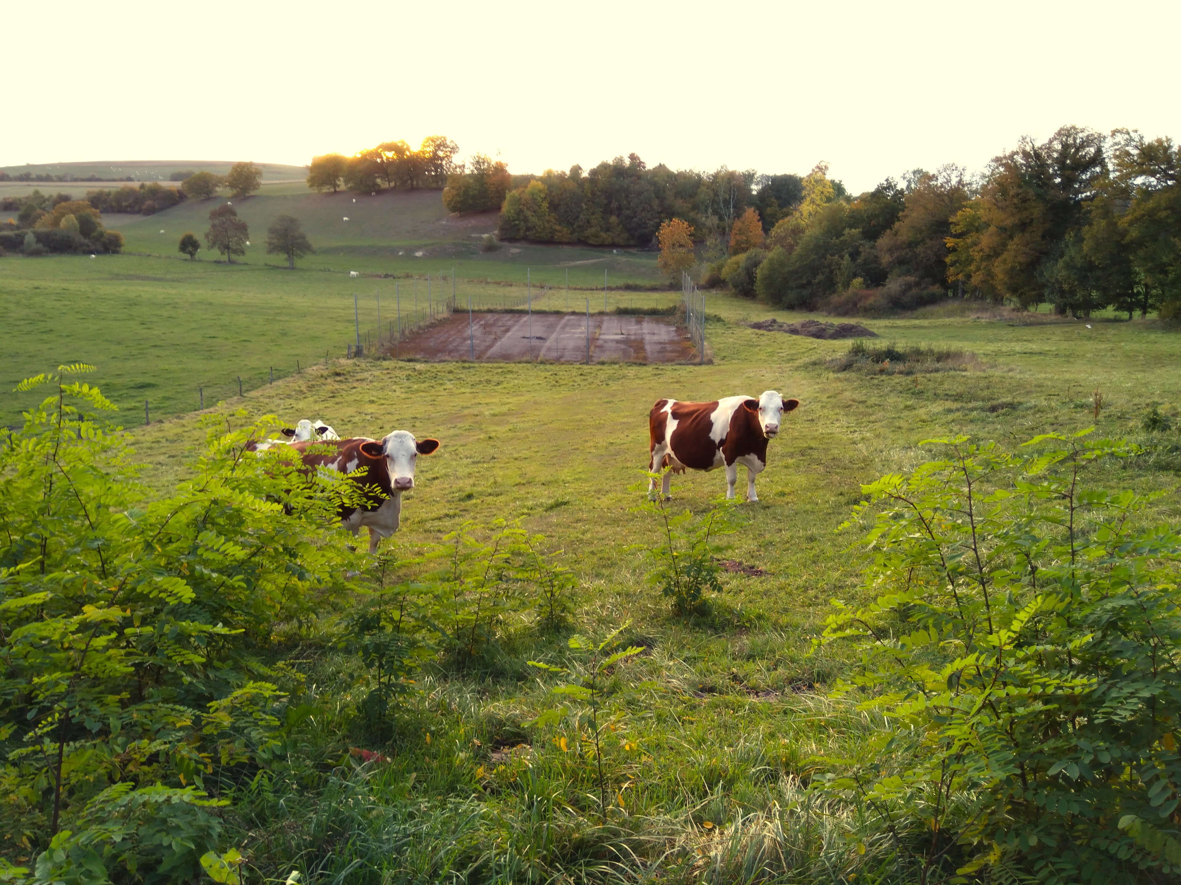 Casa nella natura a Le Mont-Dieu