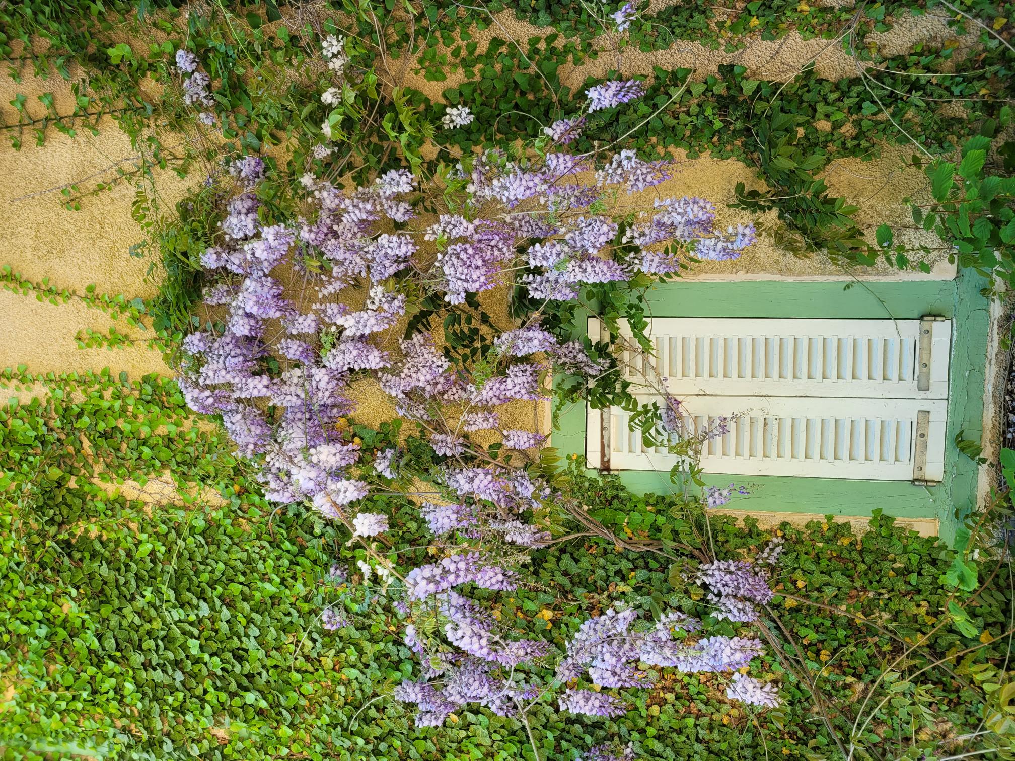 Casa nella natura a Le Mont-Dieu