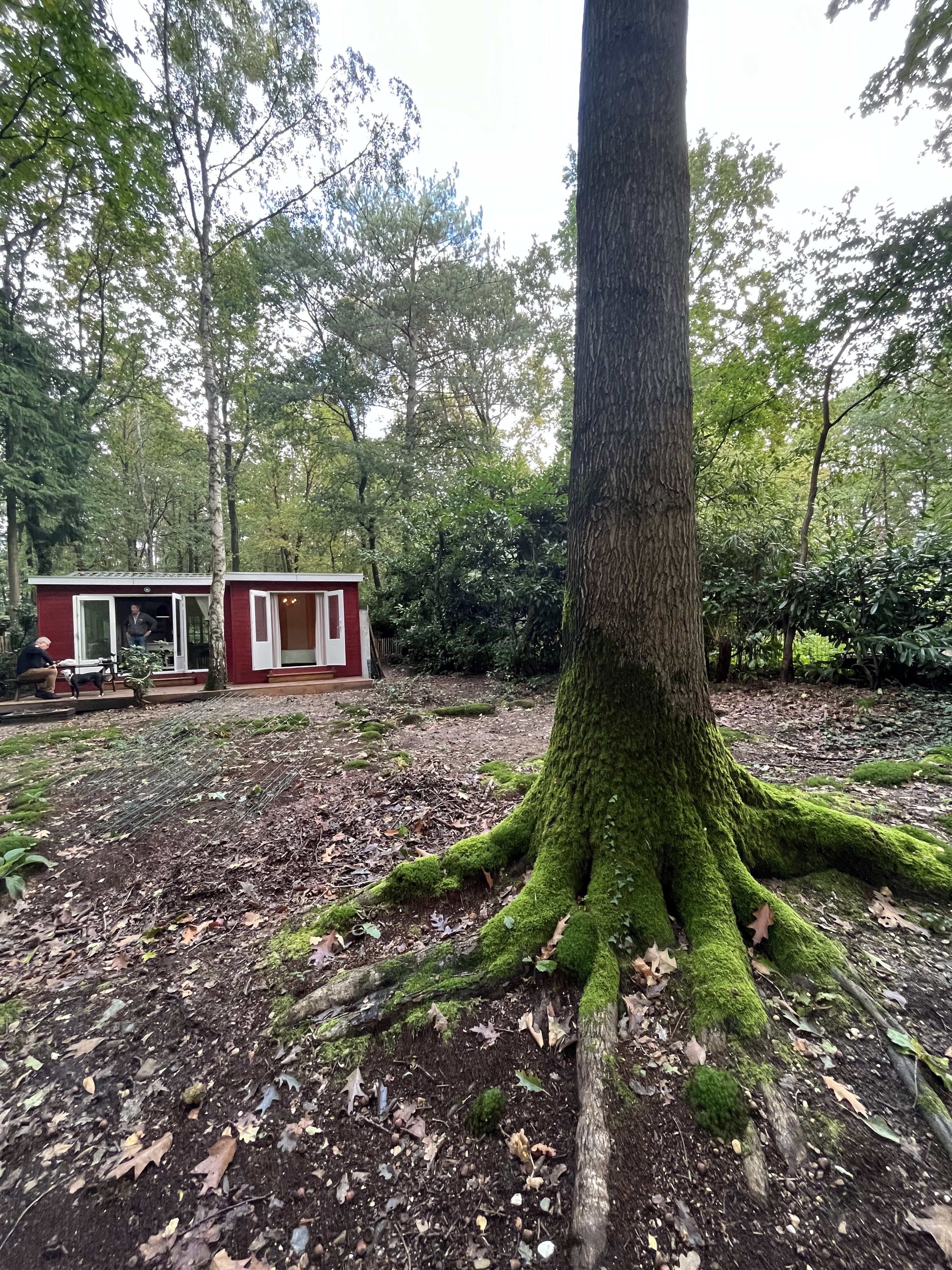 Naturhäuschen in Gellik