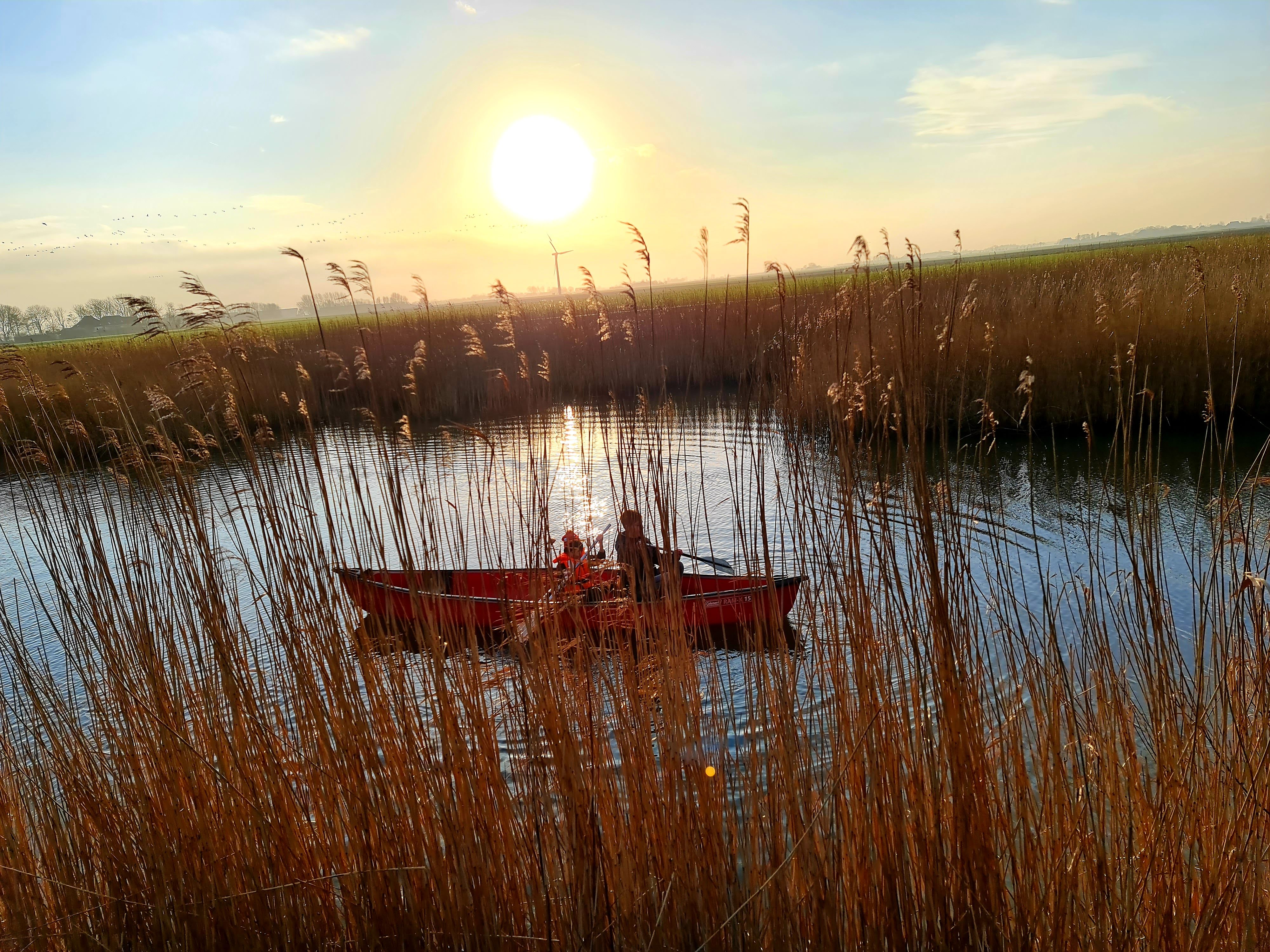 Natuurhuisje in Holwert