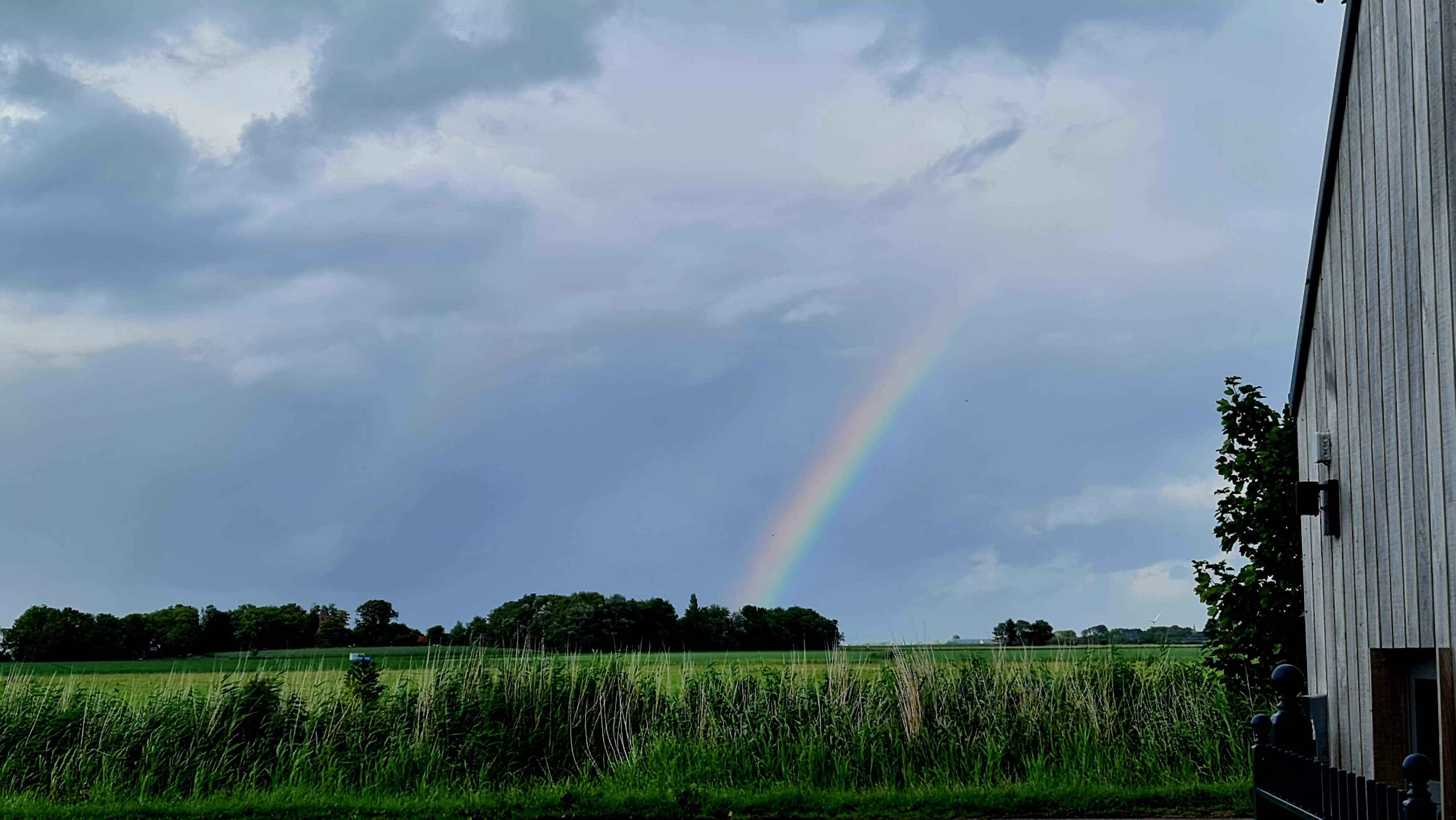 Natuurhuisje in Holwert